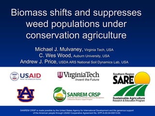 Biomass shifts and suppresses
   weed populations under
   conservation agriculture
       Michael J. Mulvaney, Virginia Tech, USA
         C. Wes Wood, Auburn University, USA
  Andrew J. Price, USDA ARS National Soil Dynamics Lab, USA




  SANREM CRSP is made possible by the United States Agency for International Development and the generous support
           of the American people through USAID Cooperative Agreement No. EPP-A-00-04-00013-00.
 