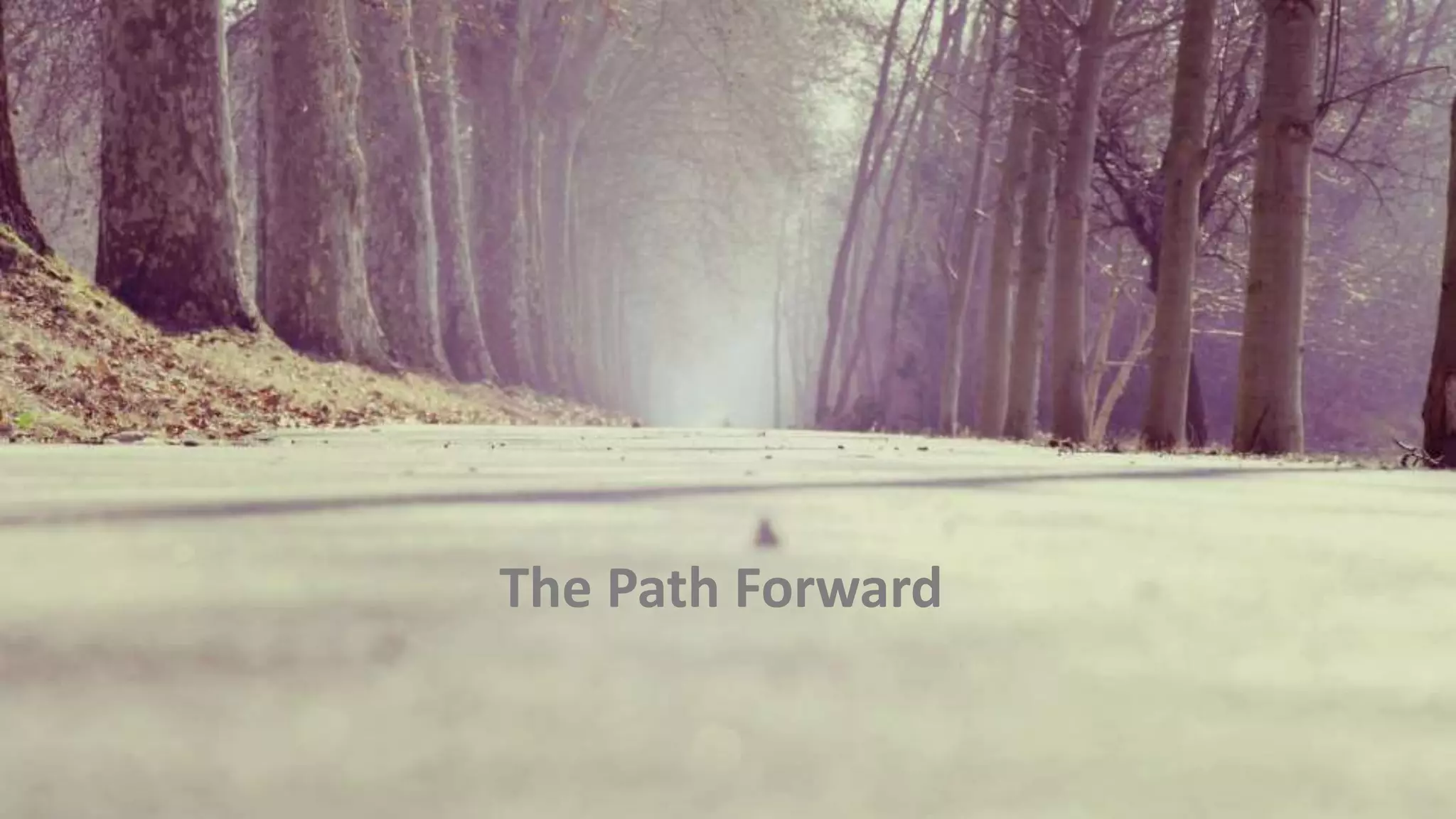 The Path Forward
 