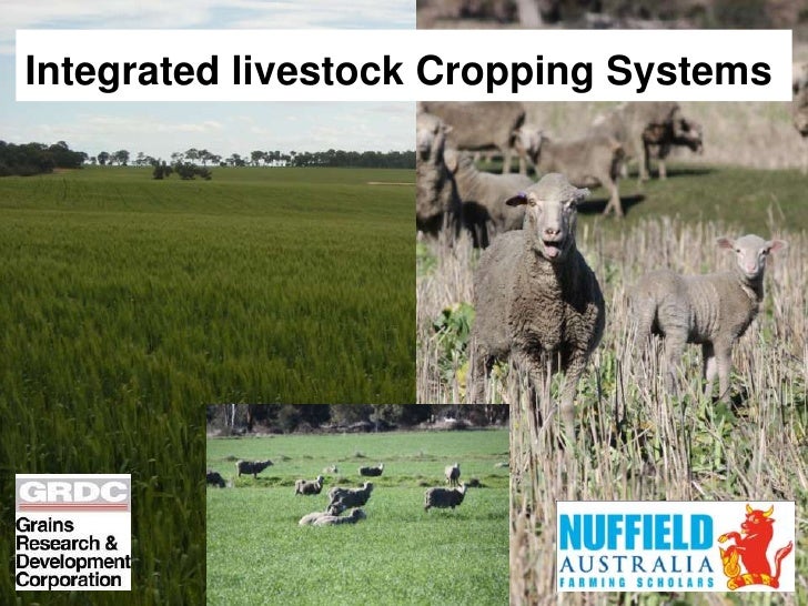 Integrated livestock cropping systems