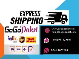 GoGoPaket Express