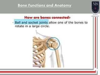 Bone function and anatomy general science | PDF