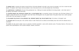 21
The inguinal canal is a passage in the anterior (toward the front of the body) abdominal wall which in men conveys the spermatic cord and in women the round
ligament. The inguinal canal is larger and more prominent in men. Each person has two, on the left and right sides of the abdomen.
The small intestine (or small bowel) is the part of the gastrointestinal tract following the stomach and followed by the large intestine and is where much of
the digestion and absorption of food takes place.
The superficial inguinal ring (subcutaneous inguinal ring or external inguinal ring) is an anatomical structure in the anterior wall of the human abdomen. It is a
triangular opening that forms the exit of the inguinal canal, which houses the ilioinguinal nerve, the genital branch of the genitor femoral nerve, and the spermatic
cord (in men) or the round ligament (in women)
The deep inguinal ring (internal or deep abdominal ring, abdominal inguinal ring, internal inguinal ring) is the entrance to the inguinal canal.
The spermatic cord is the name given to the cord-like structure in males formed by the vas deferens and surrounding tissue that run from the abdomen down to
each testicle
The testicle is the male gonad in animals testes are components of both the reproductive system and the endocrine system. The primary functions of the testes are to
produce sperm (spermatogenesis) and to produce androgens, primarily testosterone.
 