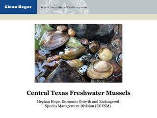 Texas Comptroller of Public Accounts
Meghan Hope, Economic Growth and Endangered
Species Management Division (EGESM)
Central Texas Freshwater Mussels
 
