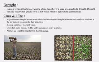 Drought :
• Drought is rainfall deficiency during a long period over a large area is called a drought. Drought
can also occur when ground level is not within reach of agricultural communities.
Cause & Effect :
- Major cause of drought is scarcity of rain & indirect cause of drought is human activities have intefered in
the enviroment processes by their activities.
- It cause scarcity of food and water.
- Crops fail, cattle because fodder and water are not easily available.
- Peoples are forced to migrate from their residence.
 