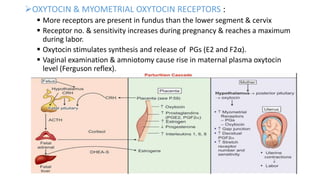 OXYTOCIN & MYOMETRIAL OXYTOCIN RECEPTORS :
 More receptors are present in fundus than the lower segment & cervix
 Receptor no. & sensitivity increases during pregnancy & reaches a maximum
during labor.
 Oxytocin stimulates synthesis and release of PGs (E2 and F2α).
 Vaginal examination & amniotomy cause rise in maternal plasma oxytocin
level (Ferguson reflex).
 