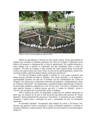 Figura 2. Árvores em homenagem aos desencarnados.
Depois de aguardarmos o término de uma reunião interna, fomos apresentadas ao
médium que coordena os trabalhos espirituais do Canto do Uirapuru. Explicamos nosso
objetivo de pesquisa e entregamos-lhe a Carta de apresentação. Em seguida iniciamos o
nosso diálogo com o médium A, registrando sua fala introdutória sobre o Canto do
Uirapuru: “O Canto do Uirapuru é uma extensão da União Espírita Diogo Vasconcelos
Lisboa, com sede no bairro do Costa e Silva, na zona sul da capital paraibana, e desenvolve
assistência médico espiritual aliada à práticas medicinais alternativas.”
O Canto do Uirapuru, ainda segundo o médium A, é um centro ecumênico que
abraça pessoas advindas de todas as religiões, cujo intuito principal é o de despertar a
espiritualidade existente em cada um. O médium, um dos coordenadores do “Canto do
Uirapuru” nos relatou que os tratamentos oferecidos são gratuitos e complementares, à base
da “medicina vibracional”, não dispensando a assistência médica especializada. O objetivo
da intervenção mediúnica, segundo ele, é o de “aliviar a dor”. Esse alívio, é atribuído à uma
ação superior humana e à própria pessoa, que abre o “campo de vibração”, acessa o
“divino” que está dentro de si, processando, assim, a mudança.
Para o médium do centro, foi perguntado o papel que um médium representa, ao
passo que sua resposta foi de que se trata da pessoa que passa pelo processo de “transe
hipnótico” (pessoa hipnotizável) e processa a “psicofonia.” (o momento em que o médium
incorpora o espírito para a realização da cura, a amenização da dor, ou orientações
espirituais).
O orientador espiritual, “incorporado” pelo médium do centro, é Zé Grosso e Dr.
Romano que passam a todos os presentes à sessão, orientações espirituais e realizam as
cirurgias mediúnicas, respectivamente. Há no jardim um local especial em sua homenagem.
(Figura 3):
 