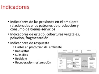 Indicadores
• Indicadores de las presiones en el ambiente
relacionadas a los patrones de producción y
consumo de bienes-servicios
• Indicadores de estado: coberturas vegetales,
polución, fragmentación
• Indicadores de respuesta
• Gastos en protección del ambiente
• Impuestos
• Subsidios
• Reciclaje
• Recuperación-restauración
 