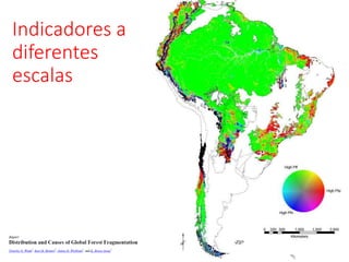 Indicadores a
diferentes
escalas
 