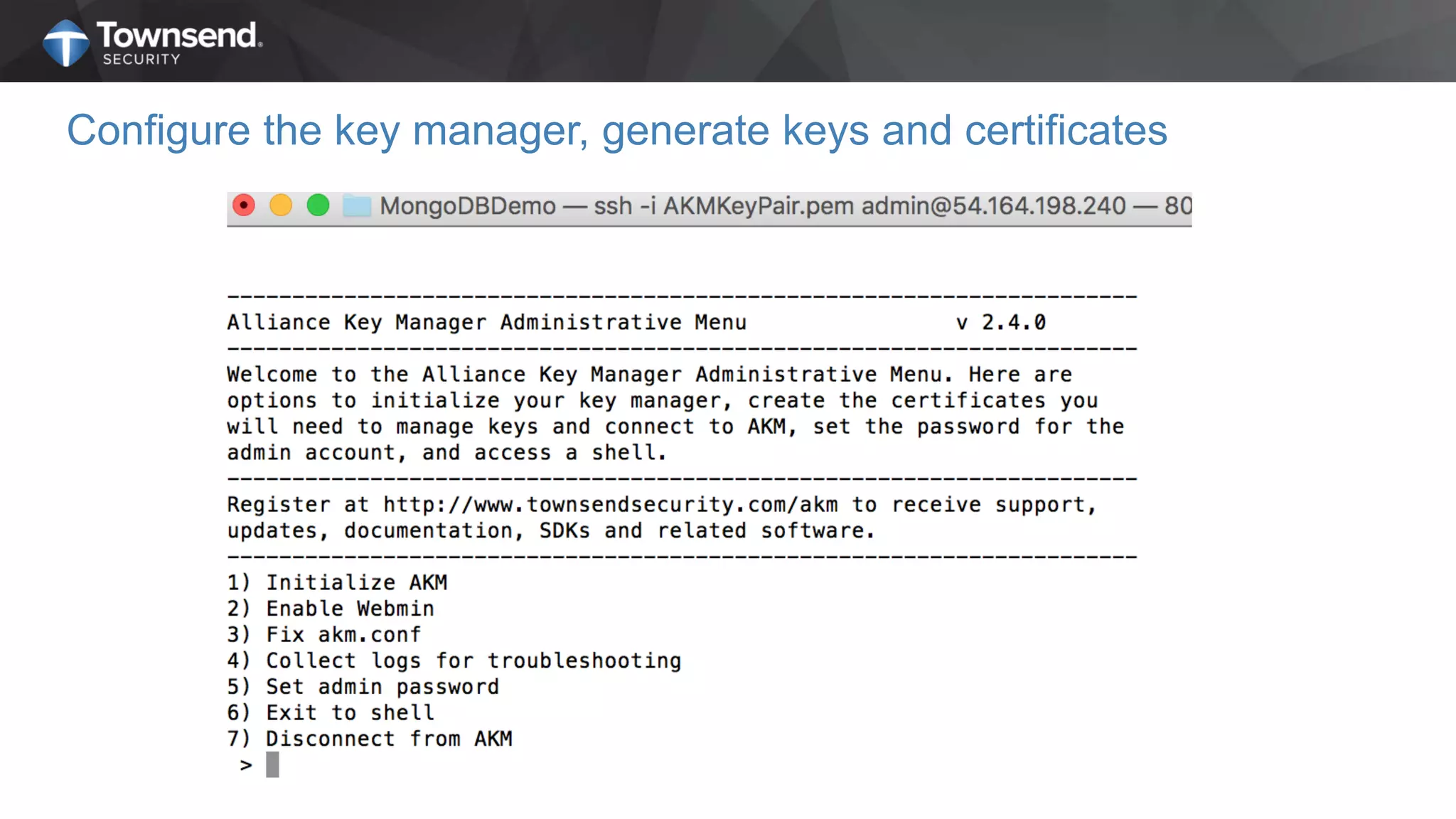 Configure the key manager, generate keys and certificates
 