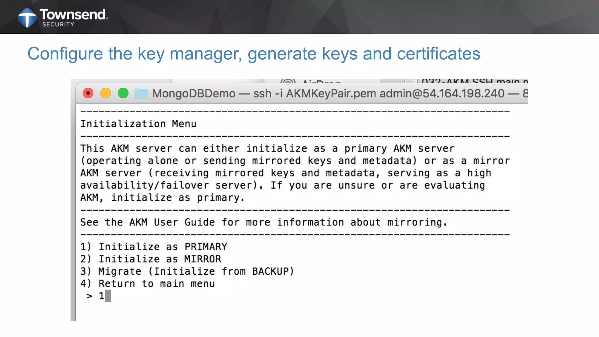 Configure the key manager, generate keys and certificates
 