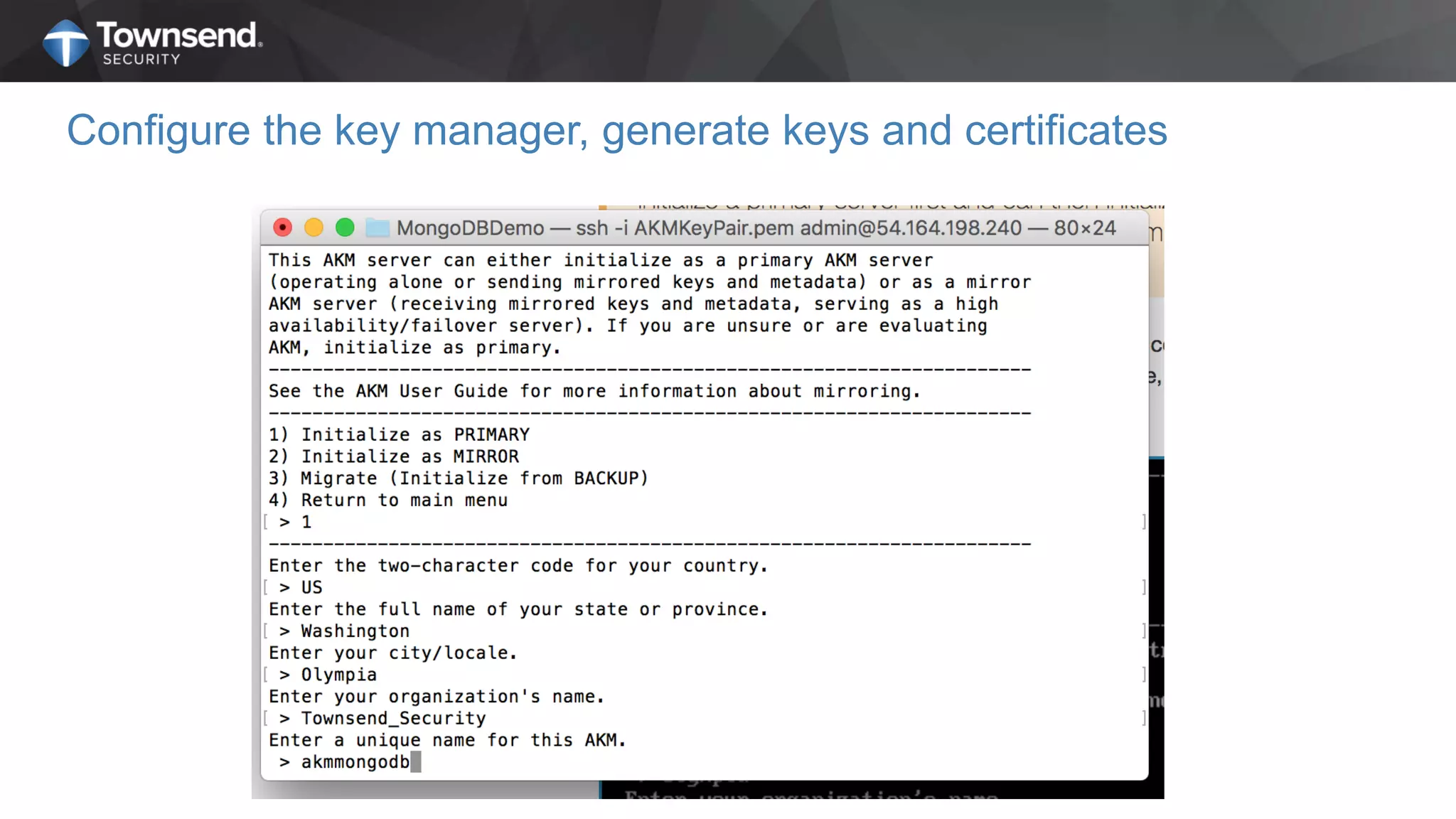 Configure the key manager, generate keys and certificates
 