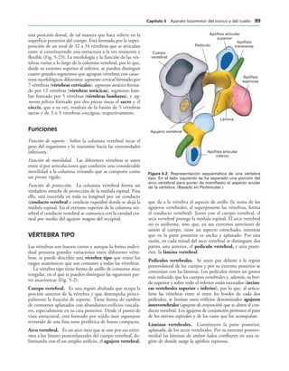 Apófisis articular
superior
Apófisis
transversa
Apófisis
espinosa
Agujero vertebral
Cuerpo
vertebral
Pedículo
Lámina
Apófisis articular
inferior
IGURA   Representación esquemática de una vértebra
tipo. En el lado izquierdo se ha separado una porción del
arco vertebral para poner de manifiesto el aspecto anular
de la vértebra. (Basado en Perlemuter.)
una posición dorsal, de tal manera que hace relieve en la
superficie posterior del cuerpo. Está formada por la super-
posición de un total de 32 a 34 vértebras que se articulan
entre sí constituyendo una estructura a la vez resistente y
flexible (Fig. 5-23). La morfología y la función de las vér-
tebras varían a lo largo de la columna vertebral, por lo que,
desde su extremo superior al inferior, se pueden distinguir
cuatro grandes segmentos que agrupan vértebras con carac-
teres morfológicos diferentes: segmento cervical formado por
7 vértebras (vértebras cervicales), segmento torácico forma-
do por 12 vértebras (vértebras torácicas), segmento lum-
bar formado por 5 vértebras (vértebras lumbares), y seg-
mento pélvico formado por dos piezas óseas el sacro y el
cóccix, que a su vez, resultan de la fusión de 5 vértebras
sacras y de 3 ó 5 vértebras coccígeas, respectivamente.
Funciones
Función de soporte. Sobre la columna vertebral recae el
peso del organismo y lo transmite hacia las extremidades
inferiores.
Función de movilidad. Las diferentes vértebras se unen
entre sí por articulaciones que confieren una considerable
movilidad a la columna evitando que se comporte como
un pivote rígido.
Función de protección. La columna vertebral forma un
verdadero estuche de protección de la médula espinal. Para
ello, está recorrida en toda su longitud por un conducto
(conducto vertebral o conducto raquídeo) donde se aloja la
médula espinal. En el extremo superior de la columna ver-
tebral el conducto vertebral se comunica con la cavidad cra-
neal por medio del agujero magno del occipital.
VÉRTEBRA TIPO
Las vértebras son huesos cortos y aunque la forma indivi-
dual presenta grandes variaciones entre diferentes vérte-
bras, se puede describir una vértebra tipo que reúne los
rasgos anatómicos que son comunes a todas las vértebras.
La vértebra tipo tiene forma de anillo de contorno muy
irregular, en el que se pueden distinguir las siguientes par-
tes anatómicas (Fig. 5-2):
Cuerpo vertebral. Es una región abultada que ocupa la
porción anterior de la vértebra y que desempeña princi-
palmente la función de soporte. Tiene forma de tambor
de contornos aplanados con abundantes orificios vascula-
res, especialmente en su cara posterior. Desde el punto de
vista estructural, está formado por tejido óseo esponjoso
revestido de una fina zona periférica de hueso compacto.
Arco vertebral. Es un arco óseo que se une por sus extre-
mos a los límites posterolaterales del cuerpo vertebral, de-
limitando con él un amplio orificio, el agujero vertebral,
que da a la vértebra el aspecto de anillo (la suma de los
agujeros vertebrales, al superponerse las vértebras, forma
el conducto vertebral). Junto con el cuerpo vertebral, el
arco vertebral protege la médula espinal. El arco vertebral
no es uniforme, sino que, en sus extremos anteriores de
unión al cuerpo, tiene un aspecto estrechado, mientras
que en la parte posterior es ancho y aplanado. Por esta
razón, en cada mitad del arco vertebral se distinguen dos
partes, una anterior, el pedículo vertebral, y otra poste-
rior, la lámina vertebral.
Pedículos vertebrales. Se unen por delante a la región
posterolateral de los cuerpos y por su extremo posterior se
continúan con las láminas. Los pedículos tienen un grosor
más reducido que los cuerpos vertebrales y, además, su bor-
de superior y sobre todo el inferior están escotados (incisu-
ras vertebrales superior e inferior), por lo que, al articu-
larse las vértebras entre sí entre los bordes de cada dos
pedículos, se limitan unos orificios denominados agujeros
intervertebrales (agujeros de conjunción) que se abren al con-
ducto vertebral. Los agujeros de conjunción permiten el paso
de los nervios espinales y de los vasos que los acompañan.
Láminas vertebrales. Constituyen la parte posterior,
aplanada, de los arcos vertebrales. Por su extremo postero-
medial las láminas de ambos lados confluyen en una re-
gión de donde surge la apófisis espinosa.
#APÓTULO  Aparato locomotor del tronco y del cuello 
 