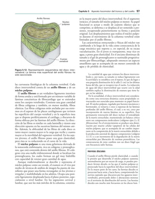 Cuerpo
vertebral
Núcleo
pulposo
Anillo fibroso
IGURA   Representación esquemática del disco inter-
vertebral. La lámina más superficial del anillo fibroso ha
sido seccionada.
las curvaturas fisiológicas de la columna vertebral. Cada
disco intervertebral consta de un anillo fibroso y de un
núcleo pulposo.
El anillo fibroso es un verdadero ligamento interóseo
de forma anular y está formado por un número variable de
láminas concéntricas de fibrocartílago que se extienden
entre los cuerpos vertebrales. Contiene una gran cantidad
de fibras colágenas y también, en menor medida, fibras
elásticas. Las fibras colágenas están ancladas por sus extre-
mos en el espesor de las placas cartilaginosas que revisten
las superficies del cuerpo vertebral y en la superficie ósea
que se dispone periféricamente al cartílago, y discurren de
forma oblicua por las láminas del anillo fibroso. La direc-
ción de las fibras es similar en cada laminilla y tienen una
dirección opuesta en las sucesivas láminas del mismo ani-
llo. Además, la oblicuidad de las fibras de cada disco es
tanto mayor cuanto mayor es la carga que recibe y cuanto
mayor es la movilidad del segmento vertebral. En los suje-
tos jóvenes, el anillo fibroso posee una gran elasticidad,
pero ésta se va reduciendo en el curso de la vida.
El núcleo pulposo es una masa gelatinosa derivada de
la notocorda embrionaria, rica en colágeno y proteoglica-
nos, que está contenida dentro del anillo fibroso. El colá-
geno crea una malla tridimensional donde se localizan los
proteoglicanos, los cuales forman un gel muy hidrófilo
con capacidad de retener gran cantidad de agua.
Aunque tradicionalmente se describe y representa el
núcleo pulposo como un ovoide, el examen en el vivo por
medio de técnicas de análisis de imagen ha puesto de ma-
nifiesto que posee una forma rectangular en los jóvenes e
irregular y multilobulada en los adultos. Ocupa una posi-
ción ligeramente desplazada hacia el plano posterior, espe-
cialmente a nivel lumbar. En los segmentos cervical y
lumbar, que son los más móviles de la columna, constitu-
ye la mayor parte del disco intervertebral. En el segmento
torácico, el tamaño del núcleo pulposo es menor. Su papel
funcional es actuar a modo de cojinete elástico que se
comprime, se deforma y se desplaza al ser sometido a pre-
siones, recuperando posteriormente su forma y posición
original. Los desplazamientos que realiza el núcleo pulpo-
so durante el movimiento de la columna vertebral están
limitados por el anillo fibroso.
Las características estructurales y físicas del núcleo van
cambiando a lo largo de la vida como consecuencia de la
carga mecánica que soporta y, en especial, de su escasa
vascularización. En el joven es transparente, muy rico en
agua, y posee gran elasticidad. En el anciano disminuye de
tamaño y el gel de proteoglicanos es sustituido progresiva-
mente por fibrocartílago, adoptando entonces un aspecto
amarillento que se acompaña de un menor contenido de
agua y de pérdida de elasticidad.
La cantidad de agua que retienen los discos interverte-
brales y, por tanto, su tamaño se reduce ligeramente con
la actividad y se restablece con el reposo, lo que da lugar a
una pequeña disminución de la talla (1 cm) en las últimas
horas del día, que se recupera tras el sueño. La reducción
de agua del disco intervertebral que ocurre con la edad
también explica la disminución de estatura que tiene lu-
gar en los adultos.
En la actualidad, el disco intervertebral está considera-
do como una estructura dinámica cuyas propiedades es-
tructurales son esenciales para mantener su papel funcio-
nal. El núcleo pulposo, regulado por factores mecánicos y
hormonales, se renueva y crece a expensas de las láminas
profundas del anillo fibroso, el cual, a su vez, crece por
incorporación de nuevas láminas en su superficie. Esta
permanente renovación del disco incluye el remodelado
de la matriz extracelular, manteniendo un balance crítico
entre sus componentes moleculares (colágenos tipos I y II,
fibronectina). En el envejecimiento se produce una dismi-
nución por muerte celular (apoptosis) de las células del
núcleo pulposo, que se acompaña de un cambio impor-
tante en la composición de la matriz extracelular debido a
la producción anormal de algunos componentes (colágeno
I y X ) y a un incremento de la degradación de la matriz
extracelular por liberación de enzimas proteolíticos. Las
consecuencias de estos cambios son un disco frágil que
con frecuencia sufre hernias.
Hernias discales
Cuando el anillo fibroso pierde elasticidad, o cuando
la presión que desarrolla el núcleo pulposo aumenta
anormalmente por un exceso de carga, se pueden pro-
ducir hernias discales, en las que el núcleo pulposo es
proyectado hacia la superficie del disco intervertebral.
En la mayor parte de los casos, las hernias discales se
proyectan hacia atrás y hacia fuera, comprimiendo los
nervios espinales que discurren por los agujeros inter-
vertebrales, provocando dolor o alteraciones motoras
en el territorio de distribución del nervio. Las hernias
discales son mucho más frecuentes en los discos lum-
#APÓTULO  Aparato locomotor del tronco y del cuello 
 