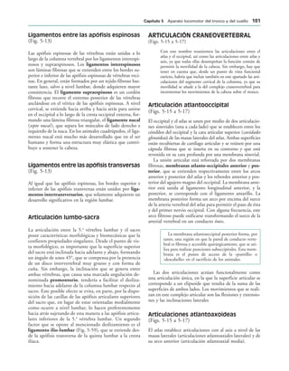 Ligamentos entre las apófisis espinosas
(Fig. 5-13)
Las apófisis espinosas de las vértebras están unidas a lo
largo de la columna vertebral por los ligamentos interespi-
nosos y supraespinosos. Los ligamentos interespinosos
son láminas fibrosas que se extienden entre los bordes su-
perior e inferior de las apófisis espinosas de vértebras veci-
nas. En general, están formados por un tejido fibroso bas-
tante laxo, salvo a nivel lumbar, donde adquieren mayor
consistencia. El ligamento supraespinoso es un cordón
fibroso que recorre el extremo posterior de las vértebras
anclándose en el vértice de las apófisis espinosas. A nivel
cervical, se extiende hacia arriba y hacia atrás para unirse
en el occipital a lo largo de la cresta occipital externa, for-
mando una lámina fibrosa triangular, el ligamento nucal
(septo nucal ), que separa los músculos de lado derecho e
izquierdo de la nuca. En los animales cuadrúpedos, el liga-
mento nucal está mucho más desarrollado que en el ser
humano y forma una estructura muy elástica que contri-
buye a sostener la cabeza.
Ligamentos entre las apófisis transversas
(Fig. 5-13)
Al igual que las apófisis espinosas, los bordes superior e
inferior de las apófisis transversas están unidos por liga-
mentos intertransversarios, que solamente adquieren un
desarrollo significativo en la región lumbar.
Articulación lumbo-sacra
La articulación entre la 5.a
vértebra lumbar y el sacro
posee características morfológicas y biomecánicas que la
confieren propiedades singulares. Desde el punto de vis-
ta morfológico, es importante que la superficie superior
del sacro está inclinada hacia adelante y abajo, formando
un ángulo de unos 45°, que se compensa por la presencia
de un disco intervertebral muy grueso y con forma de
cuña. Sin embargo, la inclinación que se genera entre
ambas vértebras, que causa una marcada angulación de-
nominada promontorio, tendería a facilitar el desliza-
miento hacia adelante de la columna lumbar respecto al
sacro. Este posible efecto se evita, en parte, por la dispo-
sición de las carillas de las apófisis articulares superiores
del sacro que, en lugar de estar orientadas medialmente
como ocurre a nivel lumbar, lo hacen preferentemente
hacia atrás sujetando de esta manera a las apófisis articu-
lares inferiores de la 5.a
vértebra lumbar. Un segundo
factor que se opone al mencionado deslizamiento es el
ligamento ilio-lumbar (Fig. 5-59), que se extiende des-
de la apófisis transversa de la quinta lumbar a la cresta
ilíaca.
ARTICULACIÓN CRANEOVERTEBRAL
(Figs. 5-15 a 5-17)
Con este nombre reuniremos las articulaciones entre el
atlas y el occipital, así como las articulaciones entre atlas y
axis, ya que todas ellas desempeñan la función común de
permitir la movilidad de la cabeza. Sin embargo, hay que
tener en cuenta que, desde un punto de vista funcional
estricto, habría que incluir también en este apartado las arti-
culaciones del segmento cervical de la columna, ya que su
movilidad se añade a la del complejo craneovertebral para
incrementar los movimientos de la cabeza sobre el tronco.
Articulación atlantooccipital
(Figs. 5-15 a 5-17)
El occipital y el atlas se unen por medio de dos articulacio-
nes sinoviales (una a cada lado) que se establecen entre los
cóndilos del occipital y la cara articular superior (cavidades
glenoideas) de las masas laterales del atlas. Ambas superficies
están recubiertas de cartílago articular y se reúnen por una
cápsula fibrosa que se inserta en su contorno y que está
revestida en su cara profunda por una membrana sinovial.
La unión articular está reforzada por dos membranas
fibrosas, membranas atlanto-occipitales anterior y pos-
terior, que se extienden respectivamente entre los arcos
anterior y posterior del atlas y los rebordes anterior y pos-
terior del agujero magno del occipital. La membrana ante-
rior está unida al ligamento longitudinal anterior, y la
posterior, se corresponde con el ligamento amarillo. La
membrana posterior forma un arco por encima del surco
de la arteria vertebral del atlas para permitir el paso de ésta
y del primer nervio occipital. Con alguna frecuencia, este
arco fibroso puede osificarse transformando el surco de la
arterial vertebral en un conducto óseo.
La membrana atlantooccipital posterior forma, por
tanto, una región en que la pared de conducto verte-
bral es fibrosa y accesible quirúrgicamente, que se uti-
liza para realizar punciones suboccipitales. Esta mem-
brana es el punto de acceso de la «puntilla» o
«descabello» en el sacrificio de los animales.
Las dos articulaciones actúan funcionalmente como
una articulación única, en la que la superficie articular se
corresponde a un elipsoide que resulta de la suma de las
superficies de ambos lados. Los movimientos que se reali-
zan en este complejo articular son las flexiones y extensio-
nes y las inclinaciones laterales
Articulaciones atlantoaxoideas
(Figs. 5-15 a 5-17)
El atlas establece articulaciones con al axis a nivel de las
masas laterales (articulaciones atlantoaxiales laterales) y de
su arco anterior (articulación atlantoaxial media).
#APÓTULO  Aparato locomotor del tronco y del cuello 
 