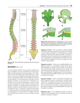 Vértebras
cervicales
Vértebras
torácicas
Vértebras
lumbares
Sacro
! 
IGURA   Visión lateral (A) y posterior (B) de la columna
vertebral.
! 
# $
IGURA   Representación esquemática de los movi-
mientos entre dos vértebras. A) Inclinación lateral. B) Rota-
ción. C) Flexión. D) Extensión. El punto de movimiento de la
flexo-extensión está enmarcado en un círculo.
Movilidad (Fig. 5-19)
Los movimientos posibles entre cada dos vértebras son
muy restringidos, pero su acumulación a lo largo de los
diferentes elementos de la columna produce un conside-
rable nivel de movilidad, que incluye flexiones y exten-
siones, rotaciones e inclinaciones laterales. Estos movi-
mientos son posibles debido a la elasticidad de los discos
intervertebrales y a las articulaciones sinoviales entre las
apófisis articulares. Los movimientos se delimitan, por
un lado, por acción de los ligamentos, y, por otro, por
la forma y disposición de las carillas articulares de las
apófisis articulares. La amplitud de los movimientos es
bastante variable entre personas de la misma raza, y en-
tre diferentes razas y, en general, es máxima en los niños
y va disminuyendo con la edad, debido a que los discos
y los ligamentos se van haciendo más rígidos. El grado
de movilidad de la columna varía en sus diferentes seg-
mentos.
Segmento cervical. Posee movimientos amplios debido
al tamaño relativamente grande de los discos en relación
con los cuerpos vertebrales y a la oblicuidad de las carillas
articulares. Puede realizar flexoextensiones, rotaciones e
inclinaciones laterales cuando éstas se acompañan de rota-
ción. Sin embargo, aproximadamente la mitad de la rota-
ción posible en el segmento cervical, tiene lugar en la arti-
culación atlantoaxoidea.
Segmento torácico. Posee poca movilidad debido a los
siguientes factores: 1) el pequeño tamaño de los discos
intervertebrales en relación con los cuerpos; 2) la orienta-
ción vertical de las carillas articulares, que se opone a los
movimientos de flexoextensión; 3) la presencia de las cos-
tillas, que dificultan el desplazamiento de las vértebras; y
4) la oblicuidad de las apófisis espinosas, que chocan entre
sí durante la extensión.
Segmento lumbar. Posee considerable movilidad (más
que el segmento torácico y menos que el cervical), espe-
cialmente en sus segmentos más inferiores. Las flexoexten-
siones y las inclinaciones laterales son relativamente am-
plias, mientras que las rotaciones, aunque varían entre las
personas, son siempre muy limitadas debido a la forma de
las apófisis articulares.
Segmento sacro. Es un segmento inmóvil, ya que sus
vértebras están fusionadas y tiene la función de anclar la
columna vertebral en la pelvis.
#APÓTULO  Aparato locomotor del tronco y del cuello 
 