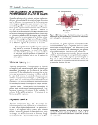 Lámina
Ap. transversa
Ap. articular superior
Pedículo
Ap. articular
inferior
Ap. espinosa
IGURA   Esquema que ilustra cómo se superponen los
elementos de una vértebra (arco y cuerpo) en una proyec-
ción radiográfica anteroposterior.
IGURA   Radiografía anteroposterior de la columna
cervical. 1) Apófisis espinosa. 2) Apófisis unciforme. 3) Si-
lueta de la tráquea sobre los cuerpos vertebrales. 4) Apófi-
sis transversas.
EXPLORACIÓN DE LAS VÉRTEBRAS
POR MÉTODOS DE ANÁLISIS DE IMAGEN
El estudio radiológico de la columna vertebral resulta com-
plejo por la irregularidad de las vértebras, lo que determina
que los diferentes componentes de la vértebra aparezcan
como imágenes superpuestas que se reconocen por el incre-
mento de la opacidad a los rayos X. Entre los cuerpos verte-
brales quedan espacios radiotransparentes debidos a los dis-
cos, que carecen de densidad a los rayos X. Además, las
curvaturas de la columna vertebral deben tenerse en cuenta
en las proyecciones anteroposteriores en las que el rayo debe
ser lo más perpendicular posible al segmento que se pretende
estudiar para evitar la superposición de las vértebras vecinas.
Describiremos en primer lugar la morfología radiológi-
ca de una vértebra tipo, y posteriormente, la morfología
de las diferentes regiones de la columna en el adulto.
Para interpretar una radiografía de personas jóvenes
debe tenerse en cuenta que los segmentos que no están
osificados son transparentes a los rayos X (véase Osifica-
ción de las vértebras), por lo que los núcleos secundarios
de osificación aparecen ligeramente independientes del
cuerpo (anillos epifisarios) o de la zona de implantación
de las apófisis.
Vértebra tipo (Fig. 5-21)
Proyección anteroposterior. El cuerpo aparece en forma de
rectángulo de eje mayor horizontal. Este rectángulo está
desbordado lateralmente por la silueta de las apófisis
transversas. De los pedículos sólo es reconocible su con-
torno, que aparece como formaciones ovoides a modo de
los «ojos» de la vértebra. El resto de los elementos del arco
vertebral se superponen a esta imagen. La apófisis espinosa
aparece como una silueta alargada verticalmente («nariz de
la vértebra») y la silueta de las apófisis articulares sobrepasa
hacia arriba y hacia abajo el rectángulo del cuerpo vertebral.
Proyección lateral. En esta proyección se distinguen de
delante hacia atrás 4 sectores a modo de columnas: 1) co-
lumna de los cuerpos; 2) columna de los pedículos; 3)
columna de las apófisis articulares y 4) columna de las
láminas y apófisis espinosas.
Segmento cervical
Proyección anteroposterior (Fig. 5-22). Los cuerpos pre-
sentan una prolongación superior en sus extremos latera-
les como «orejas de perro lobo» debidas a las apófisis unci-
formes, y su contorno inferior aparece muy cóncavo
debido a la superficie articular de las articulaciones unco-
vertebrales. Las apófisis transversas se disponen lateral-
mente a los cuerpos y aparecen superpuestas con las apófi-
sis articulares. Las apófisis espinosas están bituberculadas.
Sobre las vértebras C-5 y C- 6 se pueden detectar la sombra
tenue de los cartílagos laríngeos, y por debajo de la C-6 se
reconoce la proyección de la tráquea como una columna
aérea radiotransparente (más oscura en la radiografía).
En las proyecciones convencionales las tres primeras
vértebras están ocultas por la superposición del occipital y
la mandíbula y su estudio requiere que la radiografía se
haga con la cabeza flexionada y con la boca abierta. En
estas condiciones, se reconocen las masas laterales del atlas
y entre ellas el diente del axis.
 3ECCIØN ))) Aparato locomotor
 