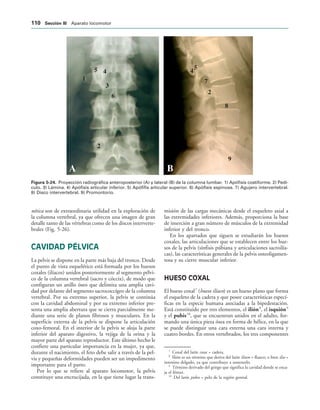 ! 
IGURA   Proyección radiográfica anteroposterior (A) y lateral (B) de la columna lumbar. 1) Apófisis costiforme. 2) Pedí-
culo. 3) Lámina. 4) Apófisis articular inferior. 5) Apófifis articular superior. 6) Apófisis espinosa. 7) Agujero intervertebral.
8) Disco intervertebral. 9) Promontorio.
nética son de extraordinaria utilidad en la exploración de
la columna vertebral, ya que ofrecen una imagen de gran
detalle tanto de las vértebras como de los discos interverte-
brales (Fig. 5-26).
CAVIDAD PÉLVICA
La pelvis se dispone en la parte más baja del tronco. Desde
el punto de vista esquelético está formada por los huesos
coxales (ilíacos) unidos posteriormente al segmento pélvi-
co de la columna vertebral (sacro y cóccix), de modo que
configuran un anillo óseo que delimita una amplia cavi-
dad por delante del segmento sacrococcígeo de la columna
vertebral. Por su extremo superior, la pelvis se continúa
con la cavidad abdominal y por su extremo inferior pre-
senta una amplia abertura que se cierra parcialmente me-
diante una serie de planos fibrosos y musculares. En la
superficie externa de la pelvis se dispone la articulación
coxo-femoral. En el interior de la pelvis se aloja la parte
inferior del aparato digestivo, la vejiga de la orina y la
mayor parte del aparato reproductor. Este último hecho le
confiere una particular importancia en la mujer, ya que,
durante el nacimiento, el feto debe salir a través de la pel-
vis y pequeñas deformidades pueden ser un impedimento
importante para el parto.
Por lo que se refiere al aparato locomotor, la pelvis
constituye una encrucijada, en la que tiene lugar la trans-
misión de las cargas mecánicas desde el esqueleto axial a
las extremidades inferiores. Además, proporciona la base
de inserción a gran número de músculos de la extremidad
inferior y del tronco.
En los apartados que siguen se estudiarán los huesos
coxales, las articulaciones que se establecen entre los hue-
sos de la pelvis (sínfisis púbiana y articulaciones sacroilía-
cas), las características generales de la pelvis osteoligamen-
tosa y su cierre muscular inferior.
HUESO COXAL
El hueso coxal7
(hueso ilíaco) es un hueso plano que forma
el esqueleto de la cadera y que posee características especí-
ficas en la especie humana asociadas a la bipedestación.
Está constituido por tres elementos, el ilión8
, el isquión9
y el pubis10
, que se encuentran unidos en el adulto, for-
mando una única pieza ósea en forma de hélice, en la que
se puede distinguir una cara externa una cara interna y
cuatro bordes. En otros vertebrados, los tres componentes
7
Coxal del latín coxa = cadera.
8
Ilión es un término que deriva del latín ilium = flanco; o bien ilia =
intestino delgado, ya que contribuye a sostenerlo.
9
Término derivado del griego que significa la cavidad donde se enca-
ja el fémur.
10
Del latín pubes = pelo de la región genital.
 3ECCIØN ))) Aparato locomotor
 