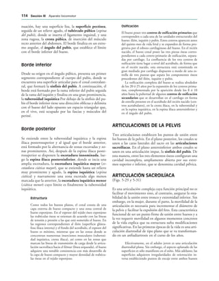 nuación, hay una superficie lisa, la superficie pectínea,
seguida de un relieve agudo, el tubérculo púbico (espina
del pubis), donde se inserta el ligamento inguinal, y una
zona rugosa, la cresta púbica, de inserción del músculo
recto anterior del abdomen. El borde finaliza en un extre-
mo angular, el ángulo del pubis, que establece el límite
con el borde inferior del hueso.
Borde inferior
Desde su origen en el ángulo púbico, presenta un primer
segmento correspondiente al cuerpo del pubis, donde se
encuentra una superficie articular para el coxal contralate-
ral, que formará la sínfisis del pubis. A continuación, el
borde está formado por la rama inferior del pubis seguida
de la rama del isquión y finaliza en una gran prominencia,
la tuberosidad isquiática Por debajo de la sínfisis del pu-
bis el borde inferior tiene una dirección oblicua y delimita
con el hueso del lado opuesto un espacio triangular que,
en el vivo, está ocupado por las fascias y músculos del
periné.
Borde posterior
Se extiende entre la tuberosidad isquiática y la espina
ilíaca posterosuperior y al igual que el borde anterior,
está formado por la alternancia de zonas excavadas y zo-
nas prominentes. Así, después de la espina ilíaca poste-
rosuperior se disponen la escotadura innominada, lue-
go la espina ilíaca posteroinferior, donde se incia una
amplia escotadura, la escotadura isquiática mayor (es-
cotadura ciática mayor), que se extiende hasta un relieve
muy prominente y agudo, la espina isquiática (espina
ciática) y nuevamente una zona escotada algo menos
marcada que la anterior, la escotadura isquiática menor
(ciática menor) cuyo límite es finalmente la tuberosidad
isquiática.
Estructura
Como todos los huesos planos, el coxal consta de una
capa externa de hueso compacto y una zona central de
hueso esponjoso. En el espesor del tejido óseo esponjoso
las trabéculas óseas se orientan de acuerdo con las líneas
de tensión y presión a las que está sometido el hueso. En
las regiones correspondientes al ilión (superficie glútea-
fosa ilíaca interna) y el fondo del acetábulo, el espesor del
hueso es mínimo, mientras que en las zonas donde se
concentran numerosas inserciones musculares (tuberosi-
dad isquíatica, cresta ilíaca), así como en las zonas que
marcan las líneas de transmisión de carga desde la articu-
lación sacroilíaca hacia el fémur (línea arqueada), el hueso
adquiere una notable consistencia con más desarrollo de
la capa de hueso compacto y mayor densidad de trabécu-
las óseas en el tejido esponjoso.
Osificación
El hueso posee tres centros de osificación primarios que
corresponden a cada una de las unidades estructurales del
hueso: ilión, isquión y pubis. Estos centros aparecen antes
del quinto mes de vida fetal y se expanden de forma pro-
gresiva por el esbozo cartilaginoso del hueso. En el recién
nacido, el hueso coxal posee las tres piezas óseas corres-
pondientes a cada centro primario de osificación, separa-
das por cartílago. La confluencia de los tres centros de
osificación tiene lugar a nivel del acetábulo, de forma que
en el recién nacido, esta estructura está constituida en
gran mediada por cartílago dispuesto a modo de una es-
trella de tres puntas que separa los componentes óseos
procedentes del ilión, isquión y pubis.
La osificación completa del hueso se realiza alrededor
de los 20 ó 25 años por la expansión de los centros prima-
rios, complementada por la aparición desde los 8 ó 10
años hasta la pubertad de algunos centros de osificación
secundarios que se desarrollan en el cartílago en forma
de estrella presente en el acetábulo del recién nacido (cen-
tros acetabulares), en la cresta ilíaca, en la tuberosidad y
en la espina isquiática, en la espina ilíaca anteroinferior y
en el ángulo del pubis.
ARTICULACIONES DE LA PELVIS
Tres articulaciones establecen los puntos de unión entre
los huesos de la pelvis. En el plano posterior, los coxales se
unen a las caras laterales del sacro en las articulaciones
sacroilíacas. En el plano anteroinferior ambos coxales se
unen en una articulación impar, la sínfisis del pubis. De
esta manera, entre los tres elementos óseos configuran una
cavidad incompleta, ampliamente abierta por sus extre-
mos superior e inferior, que se denomina cavidad pélvica.
ARTICULACIÓN SACROILÍACA
(Figs. 5-29 y 5-31)
Es una articulación compleja cuya función principal no es
facilitar el movimiento sino, al contrario, asegurar la esta-
bilidad de la unión entre tronco y extremidad inferior. Sin
embargo, en la mujer, durante el parto, la movilidad de la
articulación es necesaria para incrementar el diámetro de
la pelvis y facilitar la expulsión del feto. Esta característica
funcional de ser un punto firme de unión entre huesos y a
la vez requerir movilidad en algunos momentos concretos
de la vida explica que su estructura sufra modificaciones
significativas. En las primeras épocas de la vida es una arti-
culación diartrodial de tipo plano que se va transforman-
do en un anfiadiartrosis en el curso de los años.
Efectivamente, en el adulto joven es una articulación
diartrodial plana. Sin embargo, el aspecto aplanado de las
superficies es sólo manifiesto en el niño. Más adelante, las
superficies adquieren irregularidades de orientación in-
versa estableciendo puntos de encaje entre ambos huesos
 3ECCIØN ))) Aparato locomotor
 