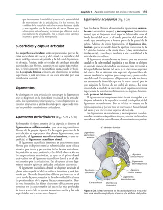 5. vértebra lumbar
a
Agujero
ciático mayor
Ligamento
sacroespinoso
Agujero
ciático menor
Ligamento
sacrotuberoso
Membrana
obturatriz
Cara sinfisial
Conducto
obturador
Ligamento
sacroilíaco
anterior
IGURA   Mitad derecha de la cavidad pélvica tras prac-
ticar una sección sagital por el sacro y la sínfisis del pubis.
que incrementan la estabilidad y reducen la potencialidad
de movimiento de la articulación. En los varones, los
cambios de la superficie articular ocurren de forma rápida
y son seguidos por la formación de haces fibrosos que
saltan entre ambos huesos y terminan por obliterar total o
parcialmente la articulación. En la mujer, estos cambios
ocurren a partir de la menopausia.
Superficies y cápsula articular
Las superficies articulares están representadas por las fa-
cetas auriculares del sacro y del coxal. La superficie del
sacro está ligeramente deprimida y la del coxal, ligeramen-
te elevada. Ambas, están revestidas de cartílago articular
que tiende a ser fibroso, aunque en sus capas más profun-
das, y especialmente en la superficie sacra, puede ser hiali-
no. La cápsula fibrosa se inserta en el contorno de ambas
superficies y está revestida en su cara articular por una
membrana sinovial.
Ligamentos
Se distingen en esta articulación un grupo de ligamentos
que se disponen en la inmediata vecindad de la articula-
ción, los ligamentos periarticulares, y unos ligamentos ac-
cesorios dispuestos a cierta distancia pero capaces de limi-
tar los posibles movimientos articulares.
Ligamentos periarticulares (Figs. 5-29 a 5-30)
Reforzando el plano anterior de la cápsula se dispone el
ligamento sacroilíaco anterior, que es un engrosamiento
fibroso de la propia cápsula. En la región posterior de la
articulación se superponen dos planos ligamentosos, uno
profundo, el ligamento sacroilíaco interóseo, y uno su-
perficial, el ligamento sacroilíaco dorsal.
El ligamento sacroilíaco interóseo es una potente masa
fibrosa que se dispone entre las tuberosidades sacra e ilíaca
situadas por detrás y por encima de las facetas auriculares.
Su posición es muy profunda y de difícil observación en
las preparaciones anatómicas, ya que en el plano dorsal
está oculto por el ligamento sacroilíaco dorsal y en el pla-
no anterior por la articulación. En el espesor de este liga-
mento pueden aparecer cavidades articulares accesorias.
El ligamento sacroilíaco dorsal se dispone asociado al
plano más superficial del sacroilíaco interóseo y está for-
mado por fibras de disposición oblicua que insertan en el
coxal desde la parte posterior de la tuberosidad ilíaca hasta
las proximidades de la espina ilíaca posterosuperior. Des-
de esta inserción, las fibras discurren oblicuamente para
terminar en la cara posterior del sacro; las más profundas
lo hacen a nivel de las crestas sacras intermedia y las más
superficiales en la cresta sacra lateral.
Ligamentos accesorios (Fig. 5-29)
Son dos haces fibrosos denominados ligamentos sacrotu-
beroso (sacrociático mayor) y sacroespinoso (sacrociático
menor) que se disponen en el espacio delimitado entre el
borde lateral del sacro y el borde posterior del coxal, de
modo que contribuyen a formar parte de la pared de la
pelvis. Además de estos ligamentos, el ligamento ilio-
lumbar, que se extiende desde la apófisis transversa de la
5.a
vértebra lumbar a la cresta ilíaca (véase Articulación
lumbo-sacra), contribuye también a dar estabilidad a la
articulación sacroilíaca.
El ligamento sacrotuberoso se inserta por su extremo
caudal en la tuberosidad isquiática y sus fibras se dirigen
en sentido craneal abriéndose en abanico para terminar a
lo largo del borde lateral del sacro y en el extremo superior
del cóccix. En su extremo más superior, algunas fibras al-
canzan también las espinas posterosuperior y posteroinfe-
rior del coxal. En conjunto, el ligamento es más ancho en
sus extremos de inserción que en la zona central, por lo
que adquiere la forma de un «reloj de arena». La zona
ensanchada a nivel de la inserción en el isquión determina
la presencia de un refuerzo fibroso en esta región, denomi-
nado proceso falciforme.
El ligamento sacroespinoso tiene forma triangular y se
dispone adosado a la superficie ventral (endopélvica) del
ligamento sacrotuberoso. Por su vértice se inserta en la
espina isquiática y por su base se inserta en el borde lateral
del sacro y en el extremo superior del cóccix.
Los ligamentos sacrotuberoso y sacroespinoso transfor-
man las escotaduras isquiáticas mayor y menor del coxal en
verdaderos orificios osteofibrosos, denominados respectiva-
#APÓTULO  Aparato locomotor del tronco y del cuello 
 