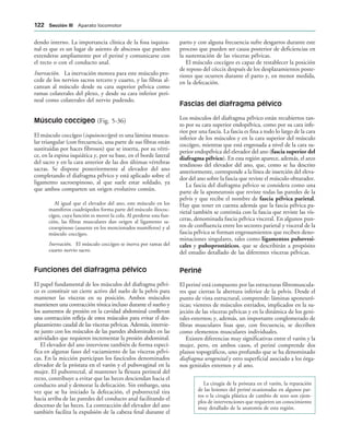 dendo interno. La importancia clínica de la fosa isquioa-
nal es que es un lugar de asiento de abscesos que pueden
extenderse ampliamente por el periné y comunicarse con
el recto o con el conducto anal.
Inervación. La inervación motora para este músculo pro-
cede de los nervios sacros tercero y cuarto, y las fibras al-
canzan al músculo desde su cara superior pélvica como
ramas colaterales del plexo, y desde su cara inferior peri-
neal como colaterales del nervio pudendo.
Músculo coccígeo (Fig. 5-36)
El músculo coccígeo (isquiococcígeo) es una lámina muscu-
lar triangular (con frecuencia, una parte de sus fibras están
sustituidas por haces fibrosos) que se inserta, por su vérti-
ce, en la espina isquiática y, por su base, en el borde lateral
del sacro y en la cara anterior de las dos últimas vértebras
sacras. Se dispone posteriormente al elevador del ano
completando el diafragma pélvico y está aplicado sobre el
ligamento sacroespinoso, al que suele estar soldado, ya
que ambos comparten un origen evolutivo común.
Al igual que el elevador del ano, este músculo en los
mamíferos cuadrúpedos forma parte del músculo iliococ-
cígeo, cuya función es mover la cola. Al perderse esta fun-
ción, las fibras musculares dan origen al ligamento sa-
croespinoso (ausente en los mencionados mamíferos) y al
músculo coccígeo.
Inervación. El músculo coccígeo se inerva por ramas del
cuarto nervio sacro.
Funciones del diafragma pélvico
El papel fundamental de los músculos del diafragma pélvi-
co es constituir un cierre activo del suelo de la pelvis para
mantener las vísceras en su posición. Ambos músculos
mantienen una contracción tónica incluso durante el sueño y
los aumentos de presión en la cavidad abdominal conllevan
una contracción refleja de estos músculos para evitar el des-
plazamiento caudal de las vísceras pélvicas. Además, intervie-
ne junto con los músculos de las paredes abdominales en las
actividades que requieren incrementar la presión abdominal.
El elevador del ano interviene también de forma especí-
fica en algunas fases del vaciamiento de las vísceras pélvi-
cas. En la micción participan los fascículos denominados
elevador de la próstata en el varón y el pubovaginal en la
mujer. El puborrectal, al mantener la flexura perineal del
recto, contribuye a evitar que las heces desciendan hacia el
conducto anal y demorar la defecación. Sin embargo, una
vez que se ha iniciado la defecación, el puborrectal tira
hacia arriba de las paredes del conducto anal facilitando el
descenso de las heces. La contracción del elevador del ano
también facilita la expulsión de la cabeza fetal durante el
parto y con alguna frecuencia sufre desgarros durante este
proceso que pueden ser causa posterior de deficiencias en
la sustentación de las vísceras pélvicas.
El músculo coccígeo es capaz de restablecer la posición
de reposo del cóccix después de los desplazamientos poste-
riores que ocurren durante el parto y, en menor medida,
en la defecación.
Fascias del diafragma pélvico
Los músculos del diafragma pélvico están recubiertos tan-
to por su cara superior endopélvica, como por su cara infe-
rior por una fascia. La fascia es fina a todo lo largo de la cara
inferior de los músculos y en la cara superior del músculo
coccígeo, mientras que está engrosada a nivel de la cara su-
perior endopélvica del elevador del ano (fascia superior del
diafragma pélvico). En esta región aparece, además, el arco
tendinoso del elevador del ano, que, como se ha descrito
anteriormente, corresponde a la línea de inserción del eleva-
dor del ano sobre la fascia que reviste el músculo obturador.
La fascia del diafragma pélvico se considera como una
parte de la aponeurosis que reviste todas las paredes de la
pelvis y que recibe el nombre de fascia pélvica parietal.
Hay que tener en cuenta además que la fascia pélvica pa-
rietal también se continúa con la fascia que reviste las vís-
ceras, denominada fascia pélvica visceral. En algunos pun-
tos de confluencia entre los sectores parietal y visceral de la
fascia pélvica se forman engrosamientos que reciben deno-
minaciones singulares, tales como ligamentos pubovesi-
cales y puboprostáticos, que se describirán a propósito
del estudio detallado de las diferentes vísceras pélvicas.
Periné
El periné está compuesto por las estructuras fibromuscula-
res que cierran la abertura inferior de la pelvis. Desde el
punto de vista estructural, comprende: láminas aponeuró-
ticas; vientres de músculos estriados, implicados en la su-
jeción de las vísceras pélvicas y en la dinámica de los geni-
tales externos; y, además, un importante conglomerado de
fibras musculares lisas que, con frecuencia, se decriben
como elementos musculares individuales.
Existen diferencias muy significativas entre el varón y la
mujer, pero, en ambos casos, el periné comprende dos
planos topográficos, uno profundo que se ha denominado
diafragma urogenital y otro superficial asociado a los órga-
nos genitales externos y al ano.
La cirugía de la próstata en el varón, la reparación
de las lesiones del periné ocasionadas en algunos par-
tos o la cirugía plástica de cambio de sexo son ejem-
plos de intervenciones que requieren un conocimiento
muy detallado de la anatomía de esta región.
 3ECCIØN ))) Aparato locomotor
 
