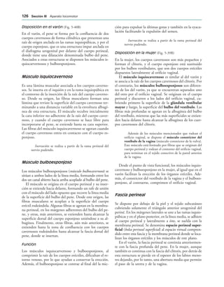 Disposición en el varón (Fig. 5-40B)
En el varón, el pene se forma por la confluencia de dos
cuerpos cavernosos de forma cilíndrica que presentan una
raíz de origen anclada en las ramas isquiopúbicas, y por el
cuerpo esponjoso, que es una estructura impar anclada en
el diafragma urogenital por delante del cuerpo perineal,
donde tiene una dilatación denominada bulbo del pene.
Asociados a estas estructuras se disponen los músculos is-
quiocarvernosos y bulboesponjosos.
Músculo isquiocavernoso
Es una lámina muscular asociada a los cuerpos caverno-
sos. Se inserta en el isquión y en la rama isquiopúbica en
el contorno de la inserción de la raíz del cuerpo caverno-
so. Desde su origen, las fibras musculares forman una
lámina que reviste la superficie del cuerpo cavernoso ter-
minando a una distancia variable en la envoltura albugí-
nea de esta estructura. El músculo recubre inicialmente
la cara inferior no adherente de la raíz del cuerpo caver-
noso, y cuando el cuerpo cavernoso se hace libre para
incorporarse al pene, se extiende hasta su cara superior.
Las fibras del músculo isquiocavernoso se agotan cuando
el cuerpo cavernoso entra en contacto con el cuerpo es-
ponjoso.
Inervación: se realiza a partir de la rama perineal del
nervio pudendo.
Músculo bulboesponjoso
Los músculos bulboesponjosos (músculo bulbocavernoso) se
sitúan a ambos lados de la línea media, formando entre los
dos un canal abierto hacia arriba acoplado al bulbo del pene.
El músculo se origina en el cuerpo perineal y su inser-
ción se extiende hacia delante, formando un rafe de unión
con el músculo del lado opuesto que recorre la línea media
de la superficie del bulbo del pene. Desde este origen, las
fibras musculares se acoplan a la superficie del cuerpo
eréctil rodeándola. Algunas fibras se agotan en la membra-
na perineal, en los márgenes adherentes del bulbo del pe-
ne, y otras, más anteriores, se extienden hasta alcanzar la
superficie dorsal del cuerpo esponjoso uniéndose a su al-
bugínea. Finalmente, otras fibras, aún más anteriores, se
extienden hasta la zona de confluencia con los cuerpos
cavernosos rodeándolos hasta alcanzar la fascia dorsal del
pene, donde se insertan.
Función
Los músculos isquiocarvernoso y bulboesponjosos, al
comprimir la raíz de los cuerpos eréctiles, dificultan el re-
torno venoso, por lo que ayudan a conservar la erección.
Además, el bulboesponjoso se contrae al final del la mic-
ción para expulsar la últimas gotas y también en la eyacu-
lación facilitando la expulsión del semen.
Inervación: se realiza a partir de la rama perineal del
nervio pudendo.
Disposición en la mujer (Fig. 5-39B)
En la mujer, los cuerpos cavernosos son más pequeños y
forman el clítoris, y el cuerpo esponjoso está sustituido
por los bulbos vestibulares, que son dos cuerpos eréctiles
dispuestos lateralmente al orificio vaginal.
El músculo isquiocavernoso es similar al del varón y
se asocia a la raíz de los cuerpos cavernosos del clítoris. Por
el contrario, los músculos bulboesponjosos son diferen-
tes de los del varón, ya que se encuentran separados uno
del otro por el orificio vaginal. Se originan en el cuerpo
perineal y discurren a los lados del orificio vaginal, cu-
briendo primero la superficie de la glándula vestibular
mayor y luego, la superficie del bulbo del vestíbulo. Las
fibras más profundas se agotan en la albugínea del bulbo
del vestíbulo, mientras que las más superficiales se extien-
den hacia delante hasta alcanzar la albugínea de los cuer-
pos cavernosos del clítoris.
Además de los músculos mencionados que rodean el
orificio vaginal, se dispone el músculo constrictor del
vestíbulo de la vagina (músculo constrictor de la vulva).
Este músculo está formado por fibras que se originan del
cuerpo perineal y rodean el contorno del orificio vaginal,
para terminar en el tejido conectivo de la pared anterior
de la vagina.
Desde el punto de vista funcional, los músculos isquio-
cavernoso y bulboesponjoso en la mujer, al igual que en el
varón facilitan la erección de los órganos eréctiles. Ade-
más, el constrictor del vestíbulo de la vagina y el bulboes-
ponjoso, al contraerse, comprimen el orificio vaginal.
Fascia perineal
Se dispone por debajo de la piel y el tejido subcutáneo
cubriendo solamente el triángulo anterior urogenital del
periné. En los márgenes laterales se une a las ramas isquio-
púbicas y en el plano posterior, en la línea media, se adhiere
al cuerpo perineal y lateralmente a éste, se suelda con la
membrana perineal. Se denomina espacio perineal super-
ficial (bolsa perineal superficial) al espacio virtual compren-
dido entre esta fascia y la membrana perineal donde se loca-
lizan los órganos eréctiles y los músculos de este plano.
En el varón, la fascia perineal se continúa anteriormen-
te con la fascia profunda del pene. En la mujer, aunque
también es continua con la fascia del clítoris, por detrás de
esta estructura se pierde en el espesor de los labios meno-
res dejando, por lo tanto, una abertura media que permite
el paso de la uretra y de la vagina.
 3ECCIØN ))) Aparato locomotor
 