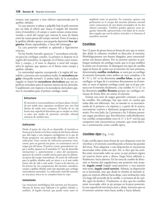 tremos, uno superior y otro inferior representado por la
apófisis xifoides.
La cara anterior es plana y palpable bajo la piel; presenta
por un lado el relieve que marca el ángulo del esternón
entre el manubrio y el cuerpo y cuatro tenues crestas trans-
versales a nivel del cuerpo que marcan la zona de fusión
entre las cuatro piezas del cuerpo esternal. Entre el cuerpo y
la apófisis xifoides aparece una pequeña depresión fosa epi-
gástrica (fosita supraxifoidea, o boca del estómago).
La cara posterior también es aplanada y ligeramente
cóncava.
En los bordes laterales aparecen 7 escotaduras articula-
res para los cartílagos costales. La primera se dispone en la
región del manubrio, la segunda en el límite entre manu-
brio y cuerpo, y el resto se dispone a nivel del cuerpo,
salvo la séptima, que aparece en el límite entre cuerpo y
apófisis xifoides.
La extremidad superior corresponde a la región del ma-
nubrio y presenta una escotadura media, la escotadura yu-
gular (horquilla esternal ). A ambos lados de la escotadura
yugular se sitúan las escotaduras claviculares que son su-
perficies articulares para el extremo interno de las clavículas.
Caudalmente con respecto a la escotaduras claviculares apa-
rece la escotadura para el primer cartílago costal.
Estructura
El esternón es estructuralmente un hueso plano, forma-
do por tejido óseo esponjoso recubierto por una fina
lámina de tejido óseo compacto. El hecho de ser un
hueso muy superficial determina que se emplee en clíni-
ca para, por medio de punciones esternales, obtener
muestras de médula ósea.
Osificación
Desde el punto de vista de su desarrollo, el esternón se
forma por la fusión en la línea media de dos hemi-esbozos
que dan lugar a una maqueta cartilaginosa en la que de
forma progresiva van apareciendo diferentes centros de
osificación. Estos centros de osificación presentan varia-
ciones, pero en general son pares, en consonancia con el
origen par del hueso. El primer centro, generalmente im-
par y medio, aparece en el manubrio (5.o
mes de desarrollo
intrauterino) y, posteriormente y antes del nacimiento,
aparecen de craneal a caudal centros pares para las diferen-
tes piezas del cuerpo (esternebras). El centro de osificación
para la apófisis xifoides suele ser único y es el más tardío
(tercer año de vida o más tarde). Como se ha descrito, en
los jóvenes los tres componentes del esternón, manubrio,
cuerpo y apófisis xifoides están aún separados por cartílago
(sincondrosis esternales). La osificación total del esternón
en una pieza única no se completa hasta la vejez.
Variaciones
Las variaciones morfológicas del esternón son frecuentes.
Afectan de forma muy habitual a la apófisis xifoides y,
también, al ángulo esternal, que puede variar tanto en
amplitud como en posición. En ocasiones, aparece una
perforación en el cuerpo del esternón (foramen esternal)
como consecuencia de una fusión incompleta de los dos
esbozos esternales. También pueden aparecer unos pe-
queños huesecillos supraesternales a los lados de la escota-
dura yugular que con la edad se articulan o se fusionan al
manubrio esternal.
Costillas
Son 12 pares de piezas óseas en forma de arco que se extien-
den desde la columna vertebral en dirección al esternón.
Morfológicamente son huesos alargados, pero estructural-
mente son huesos planos. Por su extremo anterior se pro-
longan mediante un cartílago costal, que es el que establece
la unión con el esternón. Se distinguen tres tipos de costillas
según la forma de unión con el esternón: las siete primeras,
denominadas costillas verdaderas, se unen por su cartílago
al esternón formando entre ambos un arco completo; a la
8.a
, 9.a
y 10.a
se las denomina costillas falsas, ya que sus
cartílagos, en lugar de ir a terminar directamente en el ester-
nón, se unen al séptimo cartílago costal, que es el que con-
tacta con el esternón; finalmente, a las costillas 11.a
y 12.a
se
las denomina costillas flotantes porque sus cartílagos ter-
minan de forma libre sin unirse al esternón.
Existen una serie de rasgos generales comunes a todas
las costillas. Sin embargo, hay que tener en cuenta que
todas ellas son diferentes. Así, su tamaño se va incremen-
tando de la primera a la séptima y, a partir de la octava,
nuevamente vuelven a disminuir progresivamente de ta-
maño. Por otro lado, las 2 primeras y las 3 últimas presen-
tan rasgos peculiares que describiremos individualmente.
Las costillas comprendidas entre la 3.a
y la 9.a
son las que
comparten más características comunes, que serán descri-
tas a continuación como costilla típica.
Costillas tipo (Fig. 5-43)
Cada costilla típica tiene forma de arco dispuesto entre las
vértebras y el esternón contribuyendo a formar las paredes
del tórax. Para adaptarse a esta disposición se encuentran
incurvadas sobre todos sus ejes. Así, se dice que las costi-
llas están incurvadas sobre sus caras, ya que primero siguen
un trayecto hacia atrás y afuera, luego hacia adelante y,
finalmente, hacia adentro. En las zona de cambio de direc-
ción se forman dos angulaciones una posterior más acusa-
da, ángulo costal (ángulo costal posterior), y otra anterior
más tenue, ángulo costal anterior. Además, su disposición
no es horizontal, sino que desde la vértebra al esternón si-
guen un trayecto oblicuo hacia abajo, cuya inclinación varía
a lo largo del recorrido de la costilla, («curvatura de las costi-
llas según los bordes»). Finalmente, se dice que las costillas
están incurvadas sobre su eje, porque en la parte posterior,
la cara superficial mira hacia atrás y abajo, mientras que en
el extremo anterior mira hacia arriba y hacia delante.
 3ECCIØN ))) Aparato locomotor
 