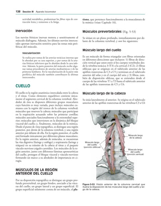Músculo largo
del cuello
(porción oblicua)
Músculo largo
de la cabeza
Músculo largo
del cuello
(porción vertical)
IGURA   Visión anterior de la columna cervical que
ilustra la disposición de los músculos largo del cuello y lar-
go de la cabeza.
actividad metabólica, predominan las fibras rojas de con-
tracción lenta y resistentes a la fatiga.
Inervación
Los nervios frénicos inervan motora y sensitivamente al
músculo diafragma. Además, los últimos nervios intercos-
tales aportan inervación sensitiva para las zonas más peri-
féricas del músculo.
Vascularización
Se realiza por ramas de las arterias torácicas internas que
lo abordan por su cara superior, y por ramas de la arte-
rias frénicas inferiores que lo abordan desde la cara infe-
rior. Además, la parte posterior del músculo recibe algu-
nas ramas procedentes de arterias mediastínicas y de las
primeras lumbares. En la vascularización de la parte más
periférica del músculo también contribuyen la últimas
intercostales.
CUELLO
El cuello es la región anatómica intercalada entre la cabeza
y el tórax. Como elemento esquelético contiene única-
mente el segmento cervical de la columna vertebral. Alre-
dedor de ésta se disponen diferentes grupos musculares
cuya función es muy variada, pues incluye músculos co-
munes con la región del tronco de la columna vertebral;
músculos que mueven la cabeza; músculos que participan
en la respiración actuando sobre las primeras costillas;
músculos asociados funcionalmente a la extremidad supe-
rior; músculos que intervienen en la dinámica del bloque
visceral del cuello; y, finalmente, músculos de la mímica.
Desde el punto de vista topográfico, se distingue una región
posterior, por detrás de la columna vertebral, y una región
anterior por delante de ella. En la región posterior, el cuello
está formado únicamente por diferentes planos musculares.
En la región anterior, además de músculos, se encuentran
las vías digestiva (faringe y esófago) y respiratoria (laringe y
tráquea) en su tránsito de la cabeza al tórax y el paquete
vásculo-nervioso yúgulo-carotídeo. Los músculos de la re-
gión anterior, junto con diferentes láminas aponeuróticas
del cuello, protegen el bloque visceral y vásculo-nervioso
formando un marco a su alrededor de importancia en ci-
rugía.
MÚSCULOS DE LA REGIÓN
ANTERIOR DEL CUELLO
Por su disposición topográfica se distingue un grupo pro-
fundo prevertebral, un grupo hiodeo, asociado a las vísce-
ras del cuello, un grupo lateral y un grupo superficial. El
grupo superficial solamente consta de un músculo, el pla-
tisma, que pertenece funcionalmente a la musculatura de
la mímica (véase Capítulo 16).
Músculos prevertebrales (Fig. 5-53)
Se sitúan en un plano profundo, inmediatamente por de-
lante de la columna vertebral, y son los siguientes:
Músculo largo del cuello
Es un músculo de forma triangular con fibras orientadas
en diferentes direcciones que incluyen: 1) fibras de direc-
ción vertical que unen entre sí los cuerpos vertebrales des-
de la vértebra torácica 3 (T3) a la cervical 2 (C2); 2) fibras
oblicuas que se originan en el tubérculo anterior de las
apófisis transversas de C3 a C5 y terminan en el tubérculo
anterior del atlas y en el cuerpo del axis; y 3) fibras, tam-
bién de disposición oblicua, que se extienden desde el
cuerpo de las vértebras T1 a T3 hasta el tubérculo anterior
de las apófisis transversas de C5 y C6.
Músculo largo de la cabeza
Se sitúa lateralmente al anterior. Se origina en el tubérculo
anterior de las apófisis transversas de las vértebras C3 a C6
 3ECCIØN ))) Aparato locomotor
 