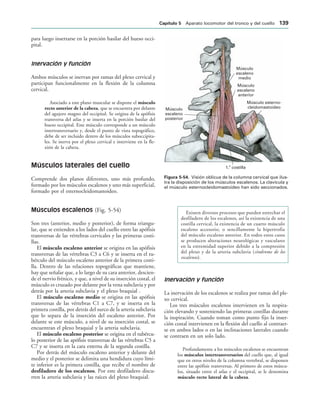 Músculo
escaleno
posterior
Músculo
escaleno
medio
Músculo
escaleno
anterior
Músculo esterno-
cleidomastoideo
1. costilla
a
IGURA   Visión oblicua de la columna cervical que ilus-
tra la disposición de los músculos escalenos. La clavícula y
el músculo esternocleidomastoideo han sido seccionados.
para luego insertarse en la porción basilar del hueso occi-
pital.
Inervación y función
Ambos músculos se inervan por ramas del plexo cervical y
participan funcionalmente en la flexión de la columna
cervical.
Asociado a este plano muscular se dispone el músculo
recto anterior de la cabeza, que se encuentra por delante
del agujero magno del occipital. Se origina de la apófisis
transversa del atlas y se inserta en la porción basilar del
hueso occipital. Este músculo corresponde a un músculo
intertransversario y, desde el punto de vista topográfico,
debe de ser incluido dentro de los músculos suboccipita-
les. Se inerva por el plexo cervical e interviene en la fle-
xión de la cabeza.
Músculos laterales del cuello
Comprende dos planos diferentes, uno más profundo,
formado por los músculos escalenos y uno más superficial,
formado por el esternocleidomastoideo.
Músculos escalenos (Fig. 5-54)
Son tres (anterior, medio y posterior), de forma triangu-
lar, que se extienden a los lados del cuello entre las apófisis
transversas de las vértebras cervicales y las primeras costi-
llas.
El músculo escaleno anterior se origina en las apófisis
transversas de las vértebras C3 a C6 y se inserta en el tu-
bérculo del músculo escaleno anterior de la primera costi-
lla. Dentro de las relaciones topográficas que mantiene,
hay que señalar que, a lo largo de su cara anterior, descien-
de el nervio frénico, y que, a nivel de su inserción costal, el
músculo es cruzado por delante por la vena subclavia y por
detrás por la arteria subclavia y el plexo braquial .
El músculo escaleno medio se origina en las apófisis
transversas de las vértebras C1 a C7, y se inserta en la
primera costilla, por detrás del surco de la arteria subclavia
que lo separa de la inserción del escaleno anterior. Por
delante se este músculo, a nivel de su inserción costal, se
encuentran el plexo braquial y la arteria subclavia.
El músculo escaleno posterior se origina en el tubércu-
lo posterior de las apófisis transversas de las vértebras C5 a
C7 y se inserta en la cara externa de la segunda costilla.
Por detrás del músculo escaleno anterior y delante del
medio y el posterior se delimita una hendidura cuyo lími-
te inferior es la primera costilla, que recibe el nombre de
desfiladero de los escalenos. Por este desfiladero discu-
rren la arteria subclavia y las raíces del plexo braquial.
Existen diversos procesos que pueden estrechar el
desfiladero de los escalenos, así la existencia de una
costilla cervical, la existencia de un cuarto músculo
escaleno accesorio, o sencillamente la hipertrofia
del músculo escaleno anterior. En todos estos casos
se producen alteraciones neurológicas y vasculares
en la extremidad superior debido a la compresión
del plexo y de la arteria subclavia (síndrome de los
escalenos).
Inervación y función
La inervación de los escalenos se realiza por ramas del ple-
xo cervical.
Los tres músculos escalenos intervienen en la respira-
ción elevando y sosteniendo las primeras costillas durante
la inspiración. Cuando toman como punto fijo la inser-
ción costal intervienen en la flexión del cuello al contraer-
se en ambos lados o en las inclinaciones laterales cuando
se contraen en un solo lado.
Profundamente a los músculos escalenos se encuentran
los músculos intertransversarios del cuello que, al igual
que en otros niveles de la columna vertebral, se disponen
entre las apófisis transversas. Al primero de estos múscu-
los, situado entre el atlas y el occipital, se le denomina
músculo recto lateral de la cabeza.
#APÓTULO  Aparato locomotor del tronco y del cuello 
 