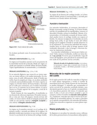 Digástrico
Omohioideo
Enternocleidomastoideo
Trapecio
IGURA   Visión lateral del cuello.
En el plano profundo están el esternotiroideo y el tiro-
hioideo.
Músculo esternohiodeo (Fig. 5-58)
Se origina en el manubrio esternal y en la cara posterior de
la extremidad esternal de la clavícula. Desde este origen, as-
ciende para insertarse en el borde inferior del hueso hioides.
Tapiza superficialmente el esternotiroideo y el tirohioideo.
Músculo omohioideo (Figs. 5-56 y 5-58)
Es un músculo digástrico que consta de un vientre supe-
rior, un vientre inferior y un tendón intermedio. En con-
junto, cruza el cuello oblicuamente, desde el hioides por
arriba, hasta la escápula por abajo, en un plano profundo
al músculo esternocleidomastoideo. El vientre superior se
origina en el borde inferior del hueso hioides y desciende
por el cuello para continuarse con el tendón intermedio,
que a su vez, se continúa con el vientre inferior, el cual se
inserta en el borde superior de la escápula, a nivel de la
incisura escapular.
Desde el punto de vista topográfico, el omohioideo es
un elemento de referencia importante. El tendón interme-
dio se sitúa por fuera del paquete vásculo-nervioso del
cuello y el vientre inferior divide el triángulo posterior del
cuello en una porción superior (triángulo occipital) y
otra inferior (triángulo omoclavicular).
Músculo esternotiroideo (Fig. 5-58)
Se origina en el manubrio esternal y en el cartílago de la
primera costilla, y asciende por delante de la tráquea y la
glándula tiroides para insertarse en una cresta oblicua que
recorre la cara lateral de las láminas del cartílago tiroides.
Músculo tirohioideo (Fig. 5-58)
Se origina de las láminas del cartílago tiroides, en la línea
oblicua donde termina el esternotiroideo, y asciende para
insertarse en el borde inferior del hioides.
Función e inervación
Los músculos infrahioideos, al contraerse, descienden el
hioides arrastrando consigo la laringe. Si el hueso hioides
está fijo a la mandíbula por los suprahioideos, entonces, al
descender el hioides, arrastra la mandíbula. Además, el es-
ternotiroideo y el tirohioideo actuando de forman indivi-
dual, pueden mover el cartílago tiroides con respecto al
hioides. Así, durante la deglución el tirohioideo tira de la
laringe hacia arriba, lo que facilita el cierre del orificio
laríngeo por la epiglotis evitando la entrada alimentos en
la vía respiratoria. La contracción individual del esterno-
tiroideo ejerce un efecto sobre la laringe opuesto al del
tirohioideo (desciende y abre la laringe) e interviene du-
rante las inspiraciones profundas.
Los músculos infrahioideos se inervan por el plexo cer-
vical. Todos, menos el tiroihiodeo, reciben sus ramas des-
de el asa cervical. El nervio para el tiroihiodeo surge del
tronco del hipogloso, pero procede de la anastomosis que
éste recibe de los primeros nervios cervicales.
Músculo elevador de la glándula tiroidea: es un múscu-
lo inconstante e impar, que se extiende entre el istmo de
la glándula tiroides, o del lóbulo piramidal si existe, al
hueso hioides.
Músculos de la región posterior
del cuello
En la región posterior del cuello los músculos se disponen
en cuatro planos superpuestos y reciben el nombre de
musculatura de la nuca. Desde el punto de vista funcional,
se pueden distinguir: 1) músculos que corresponden al
sector cervical de los músculos vertebrales dorsales, cuya
descripción general se hace en el capítulo correspondiente
a la musculatura posterior del tronco; 2) músculos que
unen el atlas y el axis con el hueso occipital, y que en
conjunto, reciben el nombre de músculos suboccipitales;
3) y, finalmente, músculos que están al servicio de la mo-
vilidad de la extremidad superior, los cuales se describen
en el capítulo correspondiente a los músculos del hombro.
Todos estos músculos se organizan en cuatro planos topo-
gráficos.
Plano profundo (Fig. 5-59)
Se disponen en este plano los músculos rectos y oblicuos
de la cabeza pertenecientes a la musculatura suboccipital y
#APÓTULO  Aparato locomotor del tronco y del cuello 
 