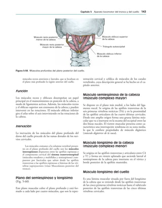 Músculo oblicuo superior
de la cabeza
Triángulo suboccipital
Músculo oblicuo inferior
de la cabeza
Músculo recto posterior
menor de la cabeza
Músculo recto posterior
mayor de la cabeza
IGURA   Músculos profundos del plano posterior del cuello.
músculos rectos anteriores y laterales, que se localizan en
el plano más profundo la región anterior del cuello.
Función
Los músculos rectos y oblicuos desempeñan un papel
principal en el mantenimiento en posición de la cabeza, a
modo de ligamentos activos. Además, los músculos rectos
y el oblicuo superior son extensores de la cabeza y pueden
intervenir en las rotaciones. El músculo oblicuo inferior
gira el atlas sobre el axis interviniendo en las rotaciones de
la cabeza.
Inervación
La inervación de los músculos del plano profundo del
dorso del cuello procede de las ramas dorsales de los ner-
vios cervicales.
Los músculos comunes a la columna vertebral presen-
tes en el plano profundo del cuello son los músculos
interespinosos dispuestos entre las apófisis espinosas y
el componente cervical del sistema transversoespinal
(músculos rotadores y multífidos y semiespinoso) com-
puestos por fascículos que saltan desde las apófisis
transversas a las apófisis espinosas o láminas de las vér-
tebras suprayacentes (véase Musculatura posterior del
tronco).
Plano del semiespinoso y longísimo
(Fig. 5-60)
Este plano muscular cubre el plano profundo y está for-
mado a cada lado por cuatro músculos, que son la repre-
sentación cervical y cefálica de músculos de los canales
vertebrales, cuya descripción general se ha hecho en el ca-
pítulo anterior.
Músculo semiespinoso de la cabeza
(músculo complexo mayor)
Se dispone en el plano más medial, a los lados del liga-
mento nucal. Se origina de las apófisis transversas de la
seis primeras vértebras torácicas (T6) y en la proximidad
de las apófisis articulares de las cuatro últimas cervicales.
Desde este amplio origen forma una gruesa lámina mús-
cular que va a insertarse en la escama del occipital entre las
dos líneas nucales. El vientre muscular presenta como ca-
racterística una interrupción tendinosa en su zona media,
lo que le confiere propiedades de músculo digástrico
(músculo digástrico de la nuca).
Músculo longísimo de la cabeza
(músculo complexo menor)
Se origina en las apófisis transversas y articulares entre C4
y T1 y forma un vientre aplanado que asciende lateral al
semiespinoso de la cabeza para insertarse en el vértice y
borde posterior de la apófisis mastoides.
Músculo longísimo del cuello
Es una lámina muscular situada por fuera del longísimo
de la cabeza que se extiende desde las apófisis transversas
de las cinco primeras vértebras torácicas hasta el tubérculo
posterior de las apófisis transversas de las cinco últimas
vértebras cervicales.
#APÓTULO  Aparato locomotor del tronco y del cuello 
 