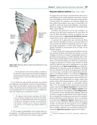 Aponeurosis
músculo
oblicuo
externo
Ligamento
inguinal
Músculo
oblicuo
externo
Cresta
ilíaca
IGURA   Músculo oblicuo externo del abdomen en una
visión lateral.
Las descripciones más recientes tienden a considerar a
los músculos anchos como pares de músculos digástricos,
mientras que la línea blanca, representaría un tendón in-
termedio donde se entrecruzan fibras procedentes de am-
bos lados.
3) Las fibras de cada músculo presentan una orienta-
ción diferente; las del oblicuo externo van hacia delante y
hacia abajo, las del oblicuo interno hacia delante y hacia
arriba, y las del transverso son horizontales. De esta mane-
ra, la superposición de los músculos crea una rejilla mus-
cular que impide que se produzcan hernias.
En algunas intervenciones quirúrgicas del abdo-
men, el cirujano, después de seccionar la piel, puede
acceder a la cavidad abdominal solamente separando
las fibras de cada plano muscular, sin necesidad de
seccionarlas, evitando de esta manera la formación
de cicatrices en el músculo que puedan debilitar la
pared.
4) En la región comprendida entre la espina ilíaca an-
terosuperior y el pubis presentan una inserción compleja
que da lugar a la formación del conducto inguinal.
Músculo oblicuo externo (Figs. 5-66 y 5-69)
Se origina de la cara externa y el borde inferior de los seis u
ocho últimos arcos costales mediante inserciones carnosas
que se interdigitan con las de los músculos serrato anterior
y dorsal ancho. En conjunto, esta inserción dibuja una
línea oblicua hacia abajo y atrás, que es reconocible en la
superficie cutánea de las personas delgadas y musculosas.
Desde este origen, las fibras del oblicuo descienden hacia
abajo y hacia delante.
Las fibras más posteriores son las más verticales y se
insertan en los dos tercios anteriores de la cresta ilíaca. El
resto de fibras del oblicuo externo se continúa con una
potente aponeurosis, la aponeurosis del oblicuo externo,
a través de la cual se unen a las estructuras vecinas.
La porción de la aponeurosis que continúa las fibras
más anteriores del oblicuo externo, reviste por delante el
recto anterior del abdomen formando parte de su vaina,
para luego incorporarse a la línea alba, donde las fibras
quedan anclandas al entrecruzarse las de un lado con las
del lado opuesto.
La parte inferior de la aponeurosis del oblicuo externo,
que continúa las fibras intermedias del músculo, es la más
compleja y termina en el espacio comprendido entre la es-
pina ilíaca anterosuperior y la sínfisis del pubis (Fig. 5-69).
En el espacio comprendido entre la espina ilíaca anterosu-
perior y el tubérculo púbico, las fibras de la aponeurosis,
en lugar de insertarse en el hueso coxal, forman un borde
nítido de reflexión para unirse rapidamente en un plano
más profundo con la fascia transversalis, que tapiza pro-
fundamente los músculos anchos del abdomen. Al borde
libre de reflexión de las fibras de la aponeurosis del obli-
cuo externo que se extiende entre la espina ilíaca anterosu-
perior y el tubérculo púbico, se le denomina ligamento
inguinal (arco femoral o arco crural). Esta estructura, por
lo tanto, se dispone a modo de puente sobre el borde ante-
rior del hueso coxal delimitando un amplio espacio que
permite el paso del músculo iliopsoas y de los vasos ilíacos
externos desde la pelvis hasta la extremidad inferior
(Fig. 5-71). El músculo discurre por la parte externa del
espacio, denominada laguna muscular; los vasos lo hacen
por la parte interna, denominada laguna vascular (entre
ambas se intercala un tracto fibroso, el arco iliopectíneo).
En el extremo interno del ligamento inguinal, alguna de
sus fibras, en lugar de reflexionarse hacia el plano profun-
do, se extienden hacia abajo para insertarse en la superficie
pectínea del borde anterior del hueso coxal. A estas fibras
se les denomina ligamento lagunar (ligamento de Gim-
bernat19
), ya que constituyen el límite interno de la laguna
vascular. La inserción de este ligamento en la superficie
pectínea junto a otras estructuras (fascia del músculo pec-
tíneo y tendón conjunto) crea un refuerzo perióstico de-
nominado ligamento pectíneo (ligamento de Cooper).
19
Antonio de Gimbernat (1734-1816), anatomista y cirujano espa-
ñol.
#APÓTULO  Aparato locomotor del tronco y del cuello 
 