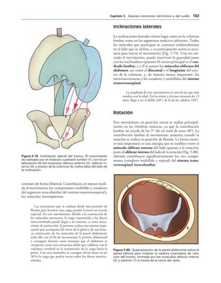 4
1
2
3
IGURA   Inclinación lateral del tronco. El movimiento
es realizado por el músculo cuadrado lumbar (1), con la co-
laboración de los músculos oblicuo externo (2), oblicuo in-
terno (3), y erector de la columna (4), todos ellos del lado de
la inclinación.


IGURA   Superposición de la pared abdominal sobre la
pared pélvica para mostrar la cadena cinemática de rota-
ción del tronco, formada por los músculos oblicuo interno
(2) y externo (1) a través de la vaina del recto.
contraen de forma bilateral. Contribuyen en menor medi-
da al movimiento los componentes multífido y rotadores
del segmento toracolumbar del sistema transversoespinal y
los músculos interespinosos.
Las extensiones que se realizan desde una posición de
flexión para levantar una carga pesada revisten un interés
especial. En este movimiento, debido a la contracción de
los músculos extensores, la carga transmitida a los discos
intervertebrales puede llegar a ser enorme, y como meca-
nismo de protección, la persona realiza una intensa inspi-
ración que acompaña del cierre de la glotis y de una brus-
ca contracción de los músculos de la pared abdominal,
todo ello con el fin de incrementar la presión abdominal
y conseguir durante unos instantes que el abdomen se
comporte como una estructura sólida que colabore con la
columna vertebral en la transmisión de la carga hacia la
pelvis. Con esta maniobra se consigue aliviar hasta en un
30 % la carga que podría recaer sobre los discos interver-
tebrales.
Inclinaciones laterales
La inclinaciones laterales tienen lugar tanto en la columna
lumbar como en los segmentos torácicos inferiores. Todos
los músculos que participan se contraen unilateralmente
en el lado que se inclina, y su participación activa es nece-
saria para iniciar el movimiento (Fig. 5-79). Una vez ini-
ciado el movimiento, puede intervenir la gravedad junto
con los inclinadores opuestos El motor principal es el cua-
drado lumbar, y a él se suman los músculos oblicuos del
abdomen, así como el iliocostal y el longísimo del erec-
tor de la columna, y, de manera menos imporante, los
intertransversarios y los rotadores y multífidos del sistema
transversoespinal.
La amplitud de este movimiento es una de las que más
cambia con la edad. En los niños y jóvenes menores de 13
años, llega a ser el doble (60°) de la de los adultos (30°).
Rotación
Este movimiento en posición erecta se realiza principal-
mente en las vértebras torácicas, ya que la contribución
lumbar no excede de los 5° (de un total de unos 40°). La
contribución lumbar al movimiento aumenta cuando la
rotación se realiza en posición de flexión. La fuerza moto-
ra más importante es una sinergia que se establece entre el
músculo oblicuo externo del lado opuesto a la rotación,
junto al oblicuo interno del lado de la rotación (Fig. 5-80).
Además contribuyen significativamente los tres compo-
nentes (rotadores multífido y espinal) del sistema trans-
versoespinal toracolumbar.
#APÓTULO  Aparato locomotor del tronco y del cuello 
 