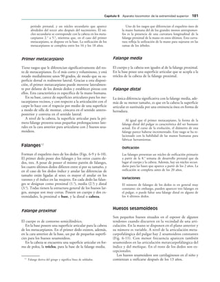 período prenatal, y un núcleo secundario que aparece
alrededor del tercer año después del nacimiento. El nú-
cleo secundario se corresponde con la cabeza en los meta-
carpianos 2.o
a 5.o
, mientras que, en el caso del primer
metacarpiano, se dispone en la base. La osificación de los
metacarpianos se completa entre los 16 y los 18 años.
Primer metacarpiano
Tiene rasgos que le diferencian significativamente del res-
to de metacarpianos. Es el más corto y voluminoso, y está
rotado medialmente unos 90 grados, de modo que su su-
perficie dorsal es realmente lateral. Gracias a esta disposi-
ción, el primer metarcarpiano puede moverse lateralmen-
te por delante de los demás dedos y establecer pinzas con
ellos. Esta característica es específica de la mano humana.
En su base, carece de superficies articulares para los me-
tacarpianos vecinos, y con respecto a la articulación con el
carpo lo hace con el trapecio por medio de una superficie
a modo de silla de montar, cóncava en el sentido antero-
posterior y convexa en el sentido lateral.
A nivel de la cabeza, la superficie articular para la pri-
mera falange presenta unas pequeñas prolongaciones late-
rales en la cara anterior para articularse con 2 huesos sesa-
moideos.
Falanges12
Forman el esqueleto óseo de los dedos (Figs. 6-9 y 6-10).
El primer dedo posee dos falanges y los otros cuatro de-
dos, tres. A pesar de poseer el mismo patrón de falanges,
los cuatro últimos dedos difieren entre sí por su tamaño, y
en el caso de los dedos índice y anular las diferencias de
tamaño están ligadas al sexo; es mayor el anular en los
varones y el índice en las mujeres. En cada dedo las falan-
ges se designan como proximal (1.a
), media (2.a
) y distal
(3.a
). Todas tienen la estructura general de los huesos lar-
gos, aunque son muy cortas. Poseen un cuerpo y dos ex-
tremidades, la proximal o base, y la distal o cabeza.
Falange proximal
El cuerpo es de contorno semicilíndrico.
En la base poseen una superficie articular para la cabeza
de los metacarpianos. En el primer dedo existen, además,
en la cara anterior de la base, un par de pequeñas superfi-
cies para los huesos sesamoideos.
En la cabeza se encuentra una superficie articular en for-
ma de polea, la tróclea, para la base de la falange media.
Uno de los rasgos que diferencian el esqueleto óseo de
la mano humana del de los grandes monos antropomor-
fos es la presencia de una curvatura longitudinal de la
falange proximal de la mano en estos últimos. Esta curva-
tura refleja la utilización de la mano para sujetarse en las
ramas de los árboles.
Falange media
El cuerpo y la cabeza son iguales al de la falange proximal.
En la base posee una superficie articular que se acopla a la
tróclea de la cabeza de la falange proximal.
Falange distal
La única diferencia significativa con la falange media, ade-
más de su menor tamaño, es que en la cabeza la superficie
articular es sustituida por una eminencia ósea en forma de
herradura.
Al igual que el primer metacarpiano, la forma de la
falange distal del pulgar es característica del ser humano
actual. En el curso de la evolución, el diámetro de esta
falange parece haberse incrementado. Este rasgo se ha re-
lacionado con la habilidad de las manos humanas para
fabricar herramientas.
Osificación
Las falanges presentan un núcleo de osificación primario
a partir de la 8.a
semana de desarrollo prenatal que da
lugar al cuerpo y la cabeza. Además, hay un núcleo secun-
dario para las bases que aparece a partir de los 2 años. La
osificación se completa antes de los 20 años.
Variaciones
El número de falanges de los dedos es en general muy
constante; sin embargo, pueden aparecer tres falanges en
el pulgar, o puede faltar una falange distal en alguno de
los 4 últimos dedos.
Huesos sesamoideos
Son pequeños huesos situados en el espesor de algunos
tendones cuando discurren en la vecindad de una arti-
culación. En la mano se disponen en el plano anterior y
su número es variable. A nivel de la articulación meta-
carpofalángica del pulgar hay 2 sesamoideos constantes
(Fig. 6-11). Con menor frecuencia aparecen también
sesamoideos en las articulación metarcarpofalángica del
índice y del meñique. En el resto de los dedos son ex-
cepcionales.
Los huesos sesamoideos son cartilaginosos en el niño y
comienzan a osificarse después de los 13 años.
12
Falange deriva del griego y significa línea de soldados.
#APÓTULO  Aparato locomotor de la extremidad superior 
 