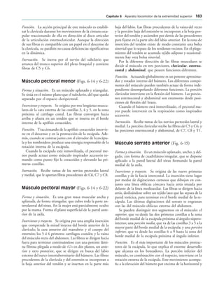 Función. La acción principal de este músculo es estabili-
zar la clavícula durante los movimientos de la cintura esca-
pular traccionando de ella en dirección al disco articular
de la articulación esternoclavicular. Aunque la dirección
de sus fibras es compatible con un papel en el descenso de
la clavícula, su parálisis no causa deficiencias significativas
en la dinámica.
Inervación. Se inerva por el nervio del subclavio que
arranca del tronco superior del plexo braquial y contiene
fibras de C5 y C6.
Músculo pectoral menor (Figs. 6-14 y 6-22)
Forma y situación. Es un músculo aplanado y triangular.
Se sitúa en el mismo plano que el subclavio, del que queda
separado por el espacio clavipectoral.
Inserciones y trayecto. Se origina por tres lengüetas muscu-
lares de la cara externa de las costillas 3, 4 y 5, en la zona
próxima al cartílago costal. Las fibras convergen hacia
arriba y afuera en un tendón que se inserta en el borde
interno de la apófisis coracoides.
Función. Traccionando de la apófisis coracoides intervie-
ne en el descenso y en la protracción de la escápula. Ade-
más, cuando se contrae junto con el elevador de la escápu-
la y los romboideos produce una sinergia responsable de la
rotación interna de la escápula.
Cuando la escápula está inmovilizada, el pectoral me-
nor puede actuar como músculo inspirador accesorio to-
mando como punto fijo la coracoides y elevando las pri-
meras costillas.
Inervación. Recibe ramas de los nervios pectorales lateral
y medial, que le aportan fibras procedentes de C6, C7 y C8.
Músculo pectoral mayor (Figs. 6-14 y 6-22)
Forma y situación. Es una gran masa muscular ancha y
aplanada, de forma triangular, que cubre toda la parte an-
terolateral del tórax. En la mujer está parcialmente oculto
por la mama. Forma el plano superficial de la pared ante-
rior de la axila.
Inserciones y trayecto. Se origina por una amplia inserción
que comprende la mitad interna del borde anterior de la
clavícula; la cara anterior del manubrio y el cuerpo del
esternón; los 5 ó 6 primeros cartílagos costales; y la vaina
del músculo recto del abdomen. Las fibras se dirigen hacia
fuera para terminar continuándose con una potente lámi-
na fibrosa plegada a modo de «U» en dos planos, un ante-
rior y otro posterior, que se dirigen en busca del labio
externo del surco intertuberositario del húmero. Las fibras
procedentes de la clavícula y del esternón se incorporan a
la hoja anterior del tendón y se insertan en la parte más
baja del labio. Las fibras procedentes de la vaina del recto
y la porción baja del esternón se incorporan a la hoja pos-
terior del tendón y ascienden por detrás de las precedentes
para fijarse en la parte alta del labio anterior. En la zona de
inserción del tendón existe de modo constante una bolsa
sinovial que lo separa de los tendones vecinos. En el plega-
miento del tendón se acumula tejido adiposo y ocasional-
mente hay otra bolsa sinovial.
Por la diferente dirección de las fibras musculares se
divide al músculo en tres porciones, clavicular, esterno-
costal y abdominal, que poseen funciones diferentes.
Función. Actuando globalmente es un potente aproxima-
dor y rotador interno del húmero. Los diferentes compo-
nentes del músculo pueden también actuar de forma inde-
pendiente desempeñando diferentes funciones. La porción
clavicular interviene en la flexión del húmero. Las porcio-
nes esternocostal y abdominal son extensoras desde posi-
ciones de flexión del brazo.
Cuando el húmero está inmovilizado, el pectoral ma-
yor puede intervenir en la respiración como inspirador
accesorio.
Inervación. Recibe ramas de los nervios pectorales lateral y
medial. La porción clavicular recibe las fibras de C5 y C6; y
las porciones esternocostal y abdominal, de C7, C8 y T1.
Músculo serrato anterior (Fig. 6-15)
Forma y situación. Es un músculo aplanado, ancho, y del-
gado, con forma de cuadrilátero irregular, que se dispone
aplicado a la pared lateral del tórax formando la pared
medial de la axila.
Inserciones y trayecto. Se origina de las nueve primeras
costillas y de la fascia intercostal. La inserción tiene lugar
por medio de digitaciones carnosas que dibujan en con-
junto una línea oblicua cóncava hacia atrás situada por
delante de la línea medioaxilar. Las fibras se dirigen hacia
atrás, deslizándose sobre un tejido laxo que las separa de la
pared torácica, para terminar en el borde medial de la es-
cápula. Las últimas digitaciones del serrato se engranan
con las del músculo oblicuo externo del abdomen.
Se pueden distinguir tres segmentos en el músculo: el
superior, que va desde las dos primeras costillas a la zona
del borde medial de la escápula próxima al ángulo súpero-
interno; una porción media, que va de las costillas 3 a 5 a la
mayor parte del borde medial de la escápula; y una porción
inferior, que va desde las costillas 6 a 9 hasta la zona del
borde medial de la escápula próxima al ángulo inferior.
Función. Es el más importante de los músculos protrac-
tores de la escápula, lo que explica el enorme desarrollo
que alcanza en los boxeadores. La porción inferior del
músculo, en combinación con el trapecio, interviene en la
rotación externa de la escápula. Este movimiento acompa-
ña a la elevación del húmero por encima de la horizontal y
#APÓTULO  Aparato locomotor de la extremidad superior 
 