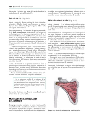 IGURA   Músculo subescapular, visión anterior.
Inervación. Se inerva por ramas del nervio dorsal de la
escápula, que le aporta fibras de C5.
Dorsal ancho (Fig. 6-17)
Forma y situación. Es un músculo de forma triangular,
aplanado y delgado, situado superficialmente en la parte
baja del dorso del tronco. La parte superior del músculo
está tapada por el trapecio.
Inserciones y trayecto. Su inserción de origen comprende:
1) la fascia toracolumbar, a través de la cual alcanza las
apófisis espinosas y los ligamentos supraespinosos de las 6
últimas vértebras dorsales, las 5 lumbares, y la cresta sacra
media; 2) la parte posterior de la cresta iliaca; 3) la cara
externa de las 4 últimas costillas, interdigitándose con las
inserciones del músculo oblicuo externo del abdomen; y
4) una inserción inconstante en el ángulo inferior de la
escápula.
Las fibras convergen hacia arriba y hacia fuera en direc-
ción a la porción superior del húmero. Cuando se aproxi-
ma a la escápula contornea el borde inferior del redondo
mayor para colocarse por delante de él. En este nivel las
fibras musculares se continúan por una lámina tendinosa
que se torsiona de modo que su borde inferior se hace
superior y viceversa y va a insertarse al fondo de surco
intertuberositario del húmero, donde presenta asociada
una bolsa sinovial.
Acción. El músculo es un potente extensor del brazo a
partir de posiciones de flexión y participa también en la
aproximación y rotación interna del húmero. Interviene
junto al pectoral mayor en movimientos como trepar por
una cuerda, remar o nadar.
Por sus inserciones en las costillas participa en las espi-
raciones violentas durante la tos y en el estornudo.
En los sujetos con parálisis de los músculos de la
extremidad inferior, el dorsal ancho puede utilizarse
para desarrollar un cierto movimiento con la ayuda de
muletas, ya que al contraerse alternativamente toman-
do como punto de apoyo el hombro produce un ba-
lanceo de la pelvis.
Inervación. Se inerva por el nervio toracodorsal, que le
aporta fibras de C6, C7 y C8.
MÚSCULOS PERIARTICULARES
DEL HOMBRO
Este grupo muscular se dispone en torno a la articulación
escapulohumeral, a la cual mueve. Todos los músculos de
este grupo se originan en la escápula y terminan en el hú-
mero. Comprende los siguientes músculos: subescapular,
deltoides, supraespinoso, infraespinoso, redondo mayor y
redondo menor. Topográficamente, la mayoría de estos
músculos forman parte de las paredes de la axila.
Músculo subescapular (Fig. 6-18)
Forma y situación. Es un músculo multipeniforme, grue-
so y de forma triangular que se adapta a la cara anterior de
la escápula formando la mayor parte de la pared posterior
de la axila.
Inserciones y trayecto. Se origina en la fosa subescapular y
sus fibras convergen en dirección al ángulo lateral de la
escápula para formar un grueso tendón que cubre la cara
anterior de la articulación escapulohumeral y se inserta en
la tuberosidad menor del húmero.
Posee dos bolsas sinoviales para facilitar el deslizamien-
to de sus fibras. La bolsa subcoracoidea separa el borde
superior del músculo de la apófisis coracoides. La bolsa
del subescapular se interpone entre la articulación esca-
pulohumeral y el tendón del subescapular (véase Articula-
ción del hombro).
Acción. Es un potente rotador interno del húmero y par-
ticipa también en la aproximación del brazo.
Desempeña junto con el supraespinoso, el infraespino-
so y el redondo menor una importante función como es-
tabilizador del hombro especialmente durante el movi-
miento (ver Articulación del hombro)
Inervación. Se inerva por los nervios subescapulares supe-
rior e inferior, que le aportan fibras procedentes de C5,
C6 y C7.
 3ECCIØN ))) Aparato locomotor
 