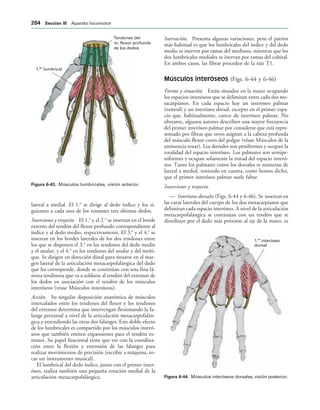 Tendones del
m. flexor profundo
de los dedos
1. lumbrical
er
IGURA   Músculos lumbricales, visión anterior.
1. interóseo
dorsal
er
IGURA   Músculos interóseos dorsales, visión posterior.
lateral a medial. El 1.o
se dirige al dedo índice y los si-
guientes a cada uno de los restantes tres últimos dedos.
Inserciones y trayecto. El 1.o
y el 2.o
se insertan en el borde
externo del tendón del flexor profundo correspondiente al
índice y al dedo medio, respectivamente. El 3.o
y el 4.o
se
insertan en los bordes laterales de los dos tendones entre
los que se disponen el 3.o
en los tendones del dedo medio
y el anular, y el 4.o
en los tendones del anular y del meñi-
que. Se dirigen en dirección distal para situarse en el mar-
gen lateral de la articulación metacarpofalángica del dedo
que les corresponde, donde se continúan con una fina lá-
mina tendinosa que va a soldarse al tendón del extensor de
los dedos en asociación con el tendón de los músculos
interóseos (véase Músculos interóseos).
Acción. Su singular disposición anatómica de músculos
intercalados entre los tendones del flexor y los tendones
del extensor determina que intervengan flexionando la fa-
lange proximal a nivel de la articulación metacarpofalán-
gica y extendiendo las otras dos falanges. Este doble efecto
de los lumbricales es compartido por los músculos interó-
seos que también emiten expansiones para el tendón ex-
tensor. Su papel funcional tiene que ver con la coordina-
ción entre la flexión y extensión de las falanges para
realizar movimientos de precisión (escribir a máquina, to-
car un instrumento musical).
El lumbrical del dedo índice, junto con el primer inter-
óseo, realiza también una pequeña rotación medial de la
articulación metacarpofalángica.
Inervación. Presenta algunas variaciones, pero el patrón
más habitual es que los lumbricales del índice y del dedo
medio se inerven por ramas del mediano, mientras que los
dos lumbricales mediales se inervan por ramas del cubital.
En ambos casos, las fibras proceden de la raíz T1.
Músculos interóseos (Figs. 6-44 y 6-46)
Forma y situación. Están situados en la mano ocupando
los espacios interóseos que se delimitan entre cada dos me-
tacarpianos. En cada espacio hay un interóseo palmar
(ventral) y un interóseo dorsal, excepto en el primer espa-
cio que, habitualmente, carece de interóseo palmar. No
obstante, algunos autores describen una mayor frecuencia
del primer interóseo palmar por considerar que está repre-
sentado por fibras que otros asignan a la cabeza profunda
del músculo flexor corto del pulgar (véase Músculos de la
eminencia tenar). Los dorsales son peniformes y ocupan la
totalidad del espacio interóseo. Los palmares son semipe-
niformes y ocupan solamente la mitad del espacio interó-
seo. Tanto los palmares como los dorsales se numeran de
lateral a medial, teniendo en cuenta, como hemos dicho,
que el primer interóseo palmar suele faltar.
Inserciones y trayecto:
— Interóseos dorsales (Figs. 6-44 y 6-46). Se insertan en
las caras laterales del cuerpo de los dos metacarpianos que
delimitan cada espacio interóseo. A nivel de la articulación
metacarpofalángica se continúan con un tendón que se
distribuye por el dedo más próximo al eje de la mano, es
 3ECCIØN ))) Aparato locomotor
 