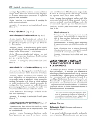 del pulgar. Algunas fibras tendinosas se extienden hacia el
margen medial del tendón del extensor largo del pulgar.
En el espesor del tendón del aproximador se dispone un
pequeño hueso sesamoideo.
Acción. Interviene en el movimiento de oposición del
pulgar como aproximador.
Inervación. Se inerva por el nervio cubital que le aporta
fibras de T1.
Grupo hipotenar (Fig. 6-42)
Músculo oponente del meñique (Fig. 6-48)
Forma y situación. Es el músculo más profundo de la
eminencia hipotenar. Está formado por un vientre muscu-
lar aplanado y triangular que se dispone por delante del
5.o
metacarpiano.
Inserciones y trayecto. Se extiende entre la apófisis uncifor-
me del ganchoso y la zona del retináculo flexor vecina al
margen medial del cuerpo de 5.o
metacarpiano.
Acción. Al contraerse desplaza hacia adelante y rota hacia
fuera el 5.o
metacarpiano desplazando al dedo meñique
para que se oponga al pulgar.
Inervación. Se inerva por el nervio cubital que le aporta
fibras de T1.
Músculo flexor corto del meñique (Fig. 6-47)
Forma y situación. Es un pequeño músculo fusiforme, in-
constante, que cubre por delante al oponente del meñique.
Inserciones y trayecto. Se extiende desde la apófisis unci-
forme del ganchoso y la zona próxima del retináculo fle-
xor al margen medial de la base de la falange proximal del
meñique. Su inserción en la falange se efectúa mediante
un tendón común con el del músculo aproximador del
meñique. Con cierta frecuencia este tendón de inserción
presenta un pequeño hueso sesamoideo. Del tendón parte
una expansión fibrosa hacia el tendón del extensor.
Acción. Es flexor del dedo meñique a nivel de la articula-
ción metacarpofalángica.
Inervación. Se inerva por el nervio cubital, que le aporta
fibras de T1.
Músculo aproximador del meñique (Fig. 6-47)
Forma y situación. Es el músculo más superficial y medial
de la eminencia hipotenar, que se comporta como si fuese
un interóseo dorsal.
Inserciones y trayecto. Se origina en el pisiforme y en los
haces ligamentosos que parten de este hueso y termina
junto con el flexor corto del meñique en el margen medial
de la base de la falange proximal del meñique emitiendo
una expansión fibrosa para el tendón extensor.
Acción. Separa el dedo meñique del anular y ayuda al fle-
xor corto en la flexión de la falange proximal. Como los
interóseos, ayuda a la extensión de las falanges media y dis-
tal a través de la expansión que emite al tendón extensor.
Inervación. Se inerva por el nervio cubital, que le aporta
fibras de T1.
Músculo palmar corto
Forma y situación. El músculo palmar corto (músculo
cutáneo palmar) está constituido por un número muy va-
riable de fibras musculares dispuestas por debajo de la
piel de la eminencia hipotenar.
Inserciones y trayecto. Se extienden desde el borde medial
de la aponeurosis palmar a la piel del borde medial de la
mano.
Acción. Al contraerse forma un pequeño pliegue en la
piel de la eminencia hipotenar y tensa le piel favoreciendo
la utilización de la mano para agarrar objetos.
Inervación. Se inerva por el nervio cubital, que le aporta
fibras de T1.
VAINAS FIBROSAS Y SINOVIALES
DE LOS TENDONES DE LA MANO
Y DE LOS DEDOS
Los tendones que desde el antebrazo se dirigen hacia los
dedos, en la muñeca y de los dedos, están alojados en ca-
nales fibrosos. Dada la elasticidad de la piel, al contraerse
los músculos flexores o los extensores, sus tendones tende-
rían a proyectarse hacia la superficie como la cuerda de un
arco. El papel de las vainas fibrosas es mantener a los ten-
dones aplicados en la proximidad de las superficies óseas
para conducir adecuadamente su fuerza de contracción.
Complementando este dispositivo fibroso, los tendones se
encuentran rodeados de vainas sinoviales que facilitan su
deslizamiento durante la contracción.
Las vainas sinoviales tienen gran importancia médi-
ca por ser estructuras que favorecen las difusión de los
procesos infecciosos, a los que la mano está particular-
mente expuesta como consecuencia de heridas.
Vainas fibrosas
Retináculo flexor (ligamento anular anterior
del carpo, Fig. 6-42)
Es una gruesa banda fibrosa que sujeta los tendones fle-
xores en la muñeca delimitando con el surco que forman
 3ECCIØN ))) Aparato locomotor
 