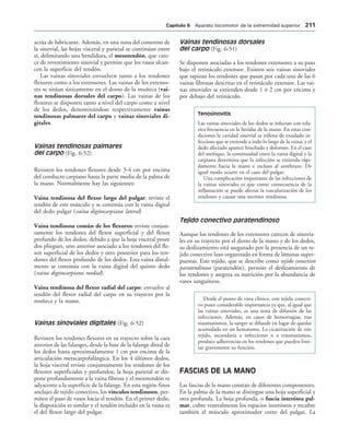 actúa de lubricante. Además, en una zona del contorno de
la sinovial, las hojas visceral y parietal se continúan entre
sí, delimitando una hendidura, el mesotendón, que care-
ce de revestimiento sinovial y permite que los vasos alcan-
cen la superficie del tendón.
Las vainas sinoviales envuelven tanto a los tendones
flexores como a los extensores. Las vainas de los extenso-
res se sitúan únicamente en el dorso de la muñeca (vai-
nas tendinosas dorsales del carpo). Las vainas de los
flexores se disponen tanto a nivel del carpo como a nivel
de los dedos, denominándose respectivamente vainas
tendinosas palmares del carpo y vainas sinoviales di-
gitales.
Vainas tendinosas palmares
del carpo (Fig. 6-52)
Revisten los tendones flexores desde 3-4 cm por encima
del conducto carpiano hasta la parte media de la palma de
la mano. Normalmente hay las siguientes:
Vaina tendinosa del flexor largo del pulgar: reviste el
tendón de este músculo y se continúa con la vaina digital
del dedo pulgar (vaina digitocarpiana lateral)
Vaina tendinosa común de los flexores: reviste conjun-
tamente los tendones del flexor superficial y del flexor
profundo de los dedos, debido a que la hoja visceral posee
dos pliegues, uno anterior asociado a los tendones del fle-
xor superficial de los dedos y otro posterior para los ten-
dones del flexor profundo de los dedos. Esta vaina distal-
mente se continúa con la vaina digital del quinto dedo
(vaina digitocarpiana medial).
Vaina tendinosa del flexor radial del carpo: envuelve al
tendón del flexor radial del carpo en su trayecto por la
muñeca y la mano.
Vainas sinoviales digitales (Fig. 6-52)
Revisten los tendones flexores en su trayecto sobre la cara
anterior de las falanges, desde la base de la falange distal de
los dedos hasta aproximadamente 1 cm por encima de la
articulación metacarpofalángica. En los 4 últimos dedos,
la hoja visceral reviste conjuntamente los tendones de los
flexores superficiales y profundos; la hoja parietal se dis-
pone profundamente a la vaina fibrosa y el mesotendón es
adyacente a la superficie de la falange. En esta región finos
anclajes de tejido conectivo, los vínculos tendinosos, per-
miten el paso de vasos hacia el tendón. En el primer dedo,
la disposición es similar y el tendón incluido en la vaina es
el del flexor largo del pulgar.
Vainas tendinosas dorsales
del carpo (Fig. 6-51)
Se disponen asociadas a los tendones extensores a su paso
bajo el retináculo extensor. Existen seis vainas sinoviales
que tapizan los tendones que pasan por cada una de las 6
vainas fibrosas descritas en el retináculo extensor. Las vai-
nas sinoviales se extienden desde 1 ó 2 cm por encima y
por debajo del retináculo.
Tenosinovitis
Las vainas sinoviales de los dedos se infectan con rela-
tiva frecuencia en la heridas de la mano. En estas con-
diciones la cavidad sinovial se rellena de exudado in-
feccioso que se extiende a todo lo largo de la vaina, y el
dedo afectado aparece hinchado y doloroso. En el caso
del meñique, la continuidad entre la vaina digital y la
carpiana determina que la infección se extienda rápi-
damente hacia la mano e incluso al antebrazo. De
igual modo ocurre en el caso del pulgar.
Una complicación importante de las infecciones de
la vainas sinoviales es que como consecuencia de la
inflamación se puede afectar la vascularización de los
tendones y causar una necrosis tendinosa.
Tejido conectivo paratendinoso
Aunque los tendones de los extensores carecen de sinovia-
les en su trayecto por el dorso de la mano y de los dedos,
su deslizamiento está asegurado por la presencia de un te-
jido conectivo laxo organizado en forma de láminas super-
puestas. Este tejido, que se describe como tejido conectivo
paratendinoso (paratendón), permite el deslizamiento de
los tendones y asegura su nutrición por la abundancia de
vasos sanguíneos.
Desde el punto de vista clínico, este tejido conecti-
vo posee considerable importancia ya que, al igual que
las vainas sinoviales, es una zona de difusión de las
infecciones. Además, en casos de hemorragias, tras
traumatismos, la sangre se difunde en lugar de quedar
acumulada en un hematoma. La cicatrización de este
tejido, secundaria a infecciones o a traumatismos,
produce adherencias en los tendones que pueden limi-
tar gravemente su función.
FASCIAS DE LA MANO
Las fascias de la mano constan de diferentes componentes.
En la palma de la mano se distingue una hoja superficial y
otra profunda. La hoja profunda, o fascia interósea pal-
mar, cubre ventralmente los espacios interóseos y recubre
también el músculo aproximador corto del pulgar. La
#APÓTULO  Aparato locomotor de la extremidad superior 
 