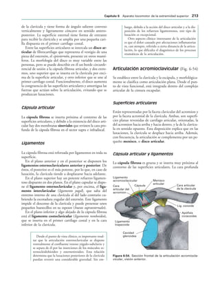 Apófisis
coracoides
Lig. conoide
Cara articular
de la clavícula
Menisco
articular
Cápsula
Ligamento
acromioclavicular
Cara
articular del
acromion
Ligamento
trapezoide
Cavidad
glenoidea
IGURA   Sección frontal de la articulación acromiocla-
vicular, visión anterior.
de la clavícula y tiene forma de ángulo saliente convexo
verticalmente y ligeramente cóncavo en sentido antero-
posterior. La superficie esternal tiene forma de entrante
para recibir la clavícula y se amplía por una pequeña cari-
lla dispuesta en el primer cartílago costal.
Entre las superficies articulares se intercala un disco ar-
ticular de fibrocartílago que representa el vestigio de una
pieza del esternón, el epiesternón, presente en otros mamí-
feros. La morfología del disco es muy variable entre las
personas, pero se puede describir en él un borde circunfe-
rencial de unión a la cápsula fibrosa articular, y dos extre-
mos, uno superior que se inserta en la clavícula por enci-
ma de la superficie articular, y otro inferior que se une al
primer cartílago costal. Funcionalmente, el disco aumenta
la congruencia de las superficies articulares y amortigua las
fuerzas que actúan sobre la articulación, evitando que se
produzcan luxaciones.
Cápsula articular
La cápsula fibrosa se inserta próxima al contorno de las
superficies articulares, y debido a la existencia del disco arti-
cular hay dos membranas sinoviales que revisten la cara pro-
funda de la cápsula fibrosa en el sector supra e infradiscal.
Ligamentos
La cápsula fibrosa está reforzada por ligamentos en toda su
superficie.
En el plano anterior y en el posterior se disponen los
ligamentos esternoclaviculares anterior y posterior. De
éstos, el posterior es el más potente, por lo que, en caso de
luxación, la clavícula tiende a desplazarse hacia adelante.
En el plano superior hay un potente refuerzo ligamen-
toso dispuesto en dos planos. En el plano capsular se dispo-
ne el ligamento esternoclavicular y, por encima, el liga-
mento interclavicular (ligamento yugal), que salta del
extremo interno de una clavícula al del lado contrario cu-
briendo la escotadura yugular del esternón. Este ligamento
impide el descenso de la clavícula y puede presentar unos
pequeños huesecillos en su espesor (huesos supraesternales).
En el plano inferior y algo alejado de la cápsula fibrosa
está el ligamento costoclavicular (ligamento romboideo),
que se inserta en el primer cartílago costal y en la cara
inferior de la clavícula.
Desde el punto de vista clínico, es importante resal-
tar que la articulación esternoclavicular se dispone
ventralmente al confluente venoso yúgulo-subclavio y
se separa de él por las inserciones de los músculos es-
ternocleidohioideo y esternotiroideo. Esta relación
determina que la luxaciones posteriores de la clavícula
puedan revestir una considerable gravedad. Sin em-
bargo, debido a la acción del disco articular y a la dis-
posición de los refuerzos ligamentosos, este tipo de
luxación es excepcional.
Otro aspecto clínico interesante de la articulación
es que el dolor causado por afectaciones inflamatorias
es, casi siempre, referido a cierta distancia de la articu-
lación, lo que dificulta el diagnóstico de los procesos
reumáticos de la articulación.
Articulación acromioclavicular (Fig. 6-54)
Se establece entre la clavícula y la escápula, y morfológica-
mente se clasifica como articulación plana. Desde el pun-
to de vista funcional, está integrada dentro del complejo
articular de la cintura escapular.
Superficies articulares
Están representadas por la faceta clavicular del acromion y
por la faceta acromial de la clavícula. Ambas, son superfi-
cies planas revestidas de cartílago articular, orientadas, la
del acromion hacia arriba y hacia dentro, y la de la clavícu-
la en sentido opuesto. Esta disposición explica que en las
luxaciones, la clavícula se desplace hacia arriba. Además,
con frecuencia, la articulación se complementa por un pe-
queño menisco, o disco articular.
Cápsula articular y ligamentos
La cápsula fibrosa es gruesa y se inserta muy próxima al
contorno de las superficies articulares. La cara profunda
#APÓTULO  Aparato locomotor de la extremidad superior 
 