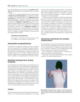 IGURA   Escápula alata. Nótese el relieve levantado
por el borde espinal de la escápula, más manifiesto al
ejercer apoyo con las extremidades superiores sobre una
pared.
de la cápsula fibrosa está revestida de la membrana sino-
vial, que queda divida en dos cuando hay disco o menisco
articular.
Dentro de los refuerzos ligamentosos hay que destacar
el ligamento acromioclavicular, que refuerza la superfi-
cie superior de la cápsula fibrosa, y los ligamentos cora-
coclaviculares, que se disponen a distancia de la articula-
ción entre la apófisis coracoides y la clavícula. Estos últimos
comprenden el ligamento trapezoide (Fig. 6-54), com-
puesto por fibras oblicuas que van desde el borde interno
de la coracoides a la línea trapezoidea de la cara inferior de
la clavícula, y, posterior a él, el ligamento conoide, con
forma de abanico, que se extiende desde la coracoides al
tubérculo conoideo de la la clavícula. Entre los dos liga-
mentos se establece un ángulo ocupado con frecuencia por
una pequeña bolsa sinovial.
Articulación coracoclavicular
En ocasiones, la coracoides y la clavícula están en contac-
to y establecen una articulación coracoclavicular.
Articulación escapulotorácica
Se denomina así al plano de deslizamiento que se establece
entre la cara anterior de la escápula y la pared torácica, y
que está condicionado por la presencia del músculo serrato.
Este músculo es una lámina que se une por un extremo a la
escápula y por el otro a los arcos costales, de forma que
permite la elaboración de un plano de deslizamiento inter-
serrato-escapular y un segundo plano interserrato-torácico.
Dinámica funcional de la cintura
escapular
Las articulaciones esternoclavicular, acromioclavicular y lo
que ha sido descrito como articulación escapulotorácica,
independientemente de permitir cada una de ellas diferen-
tes patrones de movilidad, forman en conjunto un com-
plejo articular cuya significación funcional es producir
desplazamientos de la escápula que habitualmente poten-
cian los movimientos de la articulación del hombro. Se
suele, por ello, hablar de ritmo escápulo-humeral para refle-
jar este hecho funcional. En el análisis funcional del com-
plejo articular cabe distinguir: 1) el mantenimiento en po-
sición de los elementos óseos durante la estática; 2) los
movimientos individuales en cada unión articular; y 3) los
desplazamientos globales de la escápula, que son los que
van a tener repercusión funcional en el hombro.
Estática
El mantenimiento de la posición de la clavícula durante el
reposo es un fenómeno pasivo dependiente de los liga-
mentos de la articulación esternoclavicular. La participa-
ción activa de músculos elevadores para sostener el com-
plejo cleido-escapular solamente es necesaria en sujetos
muy poco entrenados físicamente o cuando se aplica una
carga sobre la cintura escapular.
A diferencia de la clavícula, la escápula está aplicada al
tórax por acción de los músculos que se insertan en ella.
Hay dos músculos fundamentales en el mantenimiento
en posición de la escápula, el romboides y el serrato ante-
rior. Cuando se atrofian estos músculos, la escápula apa-
rece despegada de la pared torácica y su borde medial se
proyecta sobre la piel de la espalda a modo de ala rudi-
mentaria, que se denomina escápula alata (Fig. 6-55). Si
se atrofia el romboides, la escapula alata aparece en re-
poso, escápula alata estática. Si se atrofia el serrato ante-
rior, se produce durante el movimiento la escápula alata
dinámica.
Movimientos individuales del complejo
cleidoescapular
En la articulación esternoclavicaular la clavícula puede ele-
varse, descender y desplazarse hacia delante o atrás. El eje
de estos movimientos es el ligamento costoclavicular, que
por su situación condiciona que los desplazamientos del
extremo externo sean opuestos a los del interno.
En la articulación acromioclavicular se producen pe-
queños movimientos de deslizamiento.
Finalmente, la escápula puede deslizarse sobre la pared
torácica en la unión escapulotorácica.
 3ECCIØN ))) Aparato locomotor
 
