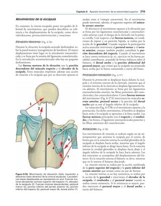 IGURA   Movimiento de elevación (lado izquierdo) y
descenso (lado derecho) de la cintura escapular. Las palan-
cas óseas desplazadas se representan en azul. Fuerzas mo-
toras elevadoras: porción superior del trapecio (1), elevador
de la escápula (2). Fuerzas motoras descendentes: pectoral
menor (3), porción inferior del serrato anterior (4), porción
inferior del trapecio (5), pectoral mayor (6), dorsal ancho (7).
Movimientos de la escápula
En conjunto, la cintura escapular posee tres grados de li-
bertad de movimientos, que pueden describirse en refe-
rencia a los desplazamientos de la escápula, como eleva-
ción/descenso, protracción/retracción y rotaciones
Elevación/descenso (Fig. 6-56)
Durante la elevación, la escápula asciende deslizándose so-
bre la pared torácica (encogimiento de hombros). El mayor
desplazamiento tiene lugar en la articulación esternoclavi-
cular y se frena por la tensión del ligamento costoclavicular.
En la articulación acromioclavicular sólo hay un pequeño
deslizamiento.
Las fuerzas motoras de la elevación son la porción
descendente del músculo trapecio y el elevador de la
escápula. Estos músculos imprimen además una acción
de rotación a la escápula que por su dirección opuesta se
anulan entre sí (sinergia concurrente). En el movimiento
puede intervenir, además, el segmento superior del múscu-
lo serrato anterior.
El descenso es el movimiento opuesto a la elevación que
se frena por los ligamentos interclavicular y esternoclavi-
cular anterior y por el choque de la clavícula con la prime-
ra costilla. Con respecto a las fuerzas motoras, en condi-
ciones de reposo y en posición bípeda, se realiza por la
acción de la gravedad. Cuando requiere la participación
activa muscular intervienen el pectoral menor y el serra-
to anterior, aunque también pueden contribuir la por-
ción descendente del trapecio. Cuando el movimiento
se hace contra resistencia (p. ej., ejercicio en las barras pa-
ralelas) contribuyen, actuando de forma indirecta sobre el
húmero, el dorsal ancho y la porción abdominal del
pectoral mayor, que evitan que la escápula sea arrastrada
hacia arriba por la fuerza transmitida a través del brazo.
Protracción/retracción (Fig. 6-57)
Durante la protracción se desplazan hacia delante la escá-
pula y el extremo externo de la clavícula, mientras que el
extremo interno de la clavícula se desplaza ligeramente ha-
cia adentro. El movimiento se frena por los ligamentos
esternoclavicular anterior, las fibras posteriores del costo-
clavicular y los coracoclaviculares. Como fuerzas motoras
del movimiento (Fig. 6-57A) intervienen los músculos se-
rrato anterior, pectoral menor y la porción del dorsal
ancho que se une al ángulo inferior de la escápula.
La retracción (Fig. 6-57B) es el movimiento opuesto a la
protracción. En dicho movimiento, el hombro se desplaza
hacia atrás y la escápula se aproxima a la línea media. Las
fuerzas motoras principales son el trapecio y el romboi-
des, y los frenos, el ligamento esternoclavicular posterior y
las fibras anteriores del costoclavicular.
Rotaciones (Fig. 6-58)
Los movimientos de rotación se realizan según un eje an-
teroposterior que atraviesa la escápula por el centro, de
forma que en la rotación externa la cavidad glenoidea de la
escápula se desplaza hacia arriba, mientras que el ángulo
inferior de la escápula se dirige hacia fuera. En la rotación
interna la cavidad glenoidea se desplaza hacia abajo y el
ángulo inferior de la escápula lo hace hacia adentro. Las
dos rotaciones se acompañan del desplazamiento del hú-
mero. En la rotación externa el húmero se eleva, mientras
que en la interna el húmero desciende.
La rotación externa se realiza por la acción combinada
de la parte superior del trapecio y la parte inferior del
serrato anterior que actúan como un par de fuerzas.
La rotación interna, si no hay resistencia, se realiza por
la acción de la gravedad e intervinien el elevador de la
escápula, el romboides y el pectoral menor cuando se
realiza contra resistencia. Si la resistencia es mayor, pue-
den intervenir el pectoral mayor y el dorsal ancho, a
través del húmero.
#APÓTULO  Aparato locomotor de la extremidad superior 
 