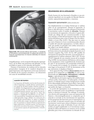 IGURA   RM coronal oblicua del hombro. 1) escápula;
2) articulación acromioclavicular; 3) cabeza del húmero; 4)
músculo supraespinoso; 5) músculo deltoides; 6) músculo
subescapular.
miográficamente, con la excepción del músculo supraespi-
noso y de las fibras más posteriores del deltoides, no hay
actividad en reposo en los músculos del hombro.
Durante el movimiento, los tendones de los músculos
periarticulares (manguito de los rotadores) desepeñan un
papel importante como ligamentos activos que mantienen
la cohesión de los extremos articulares y sus alteraciones
son causa de inestabilidad articular.
Luxación del hombro
Las luxaciones del hombro son las más frecuentes de
todo el organismo y cuando afectan a personas jóve-
nes (menos de 20 años) tienden a hacerse recidivan-
tes debido a los desgarramientos que se producen en
la cápsula articular. La forma más habitual es la de-
nominada luxación anterior, que ocurre tras una ex-
tensión y rotación lateral exagerada. La cabeza del
húmero es desplazada inicialmente en una direc-
ción anteroinferior situándose por debajo de la ca-
vidad glenoidea; luego, debido a la contractura de
los músculos periarticulares, la cabeza se desplaza
hacia arriba para ocupar una posición subcoracoi-
dea. Los pacientes se sujetan el brazo en posición de
ligera separación y rotación externa. Las luxaciones
posteriores son menos frecuentes y el húmero adop-
ta una postura opuesta de aproximación y rotación
interna.
Movimientos de la articulación
Desde el punto de vista funcional, el hombro es una arti-
culación superficial con tres grados de libertad: flexo/ex-
tensión; separación/aproximación y rotaciones.
Separación-aproximación (abducción/aducción)
Son desplazamientos en el plano frontal que se realizan
sobre un eje anteroposterior. Durante la separación, el
brazo se aleja del tronco y cuando sobrepasa la horizontal,
el movimiento recibe el nombre de elevación. Durante
los movimientos de separación y elevación el espacio deli-
mitado por debajo del arco acromiocoracoideo se hace
muy estrecho y el final del movimiento exige una rotación
externa del húmero para evitar el choque entre las tubero-
sidades y el arco (Fig. 6-65C). Hay que tener en cuenta
que entre el húmero y el arco acromiocoracoideo discurre
el tendón del músculo supraespinoso y la bolsa subacro-
mial, que pueden ser pinzados entre ambas estructuras y
dar origen a un hombro doloroso.
El movimiento se separación y aproximación se realiza
de forma mixta en la articulación escápulo-humeral y en el
cinturón escapular (Fig. 6-65). De los 180° posibles de
movimiento de separación-elevación, en la articulación es-
capulohumeral se realizan solamente 100 ó 120°. El resto
(55-65°) depende de una rotación externa de la escápula
(Fig. 6-65B). Los movimientos del húmero y de la escápu-
la son simultáneos (ritmo escapulohumeral), de forma que
de cada 15° de movimiento 10 corresponden al húmero y
5 a la rotación de la escápula. La excepción a esta regla
tiene lugar en los primeros 25-30° de movimiento en los
que únicamente se desplaza el húmero.
En la separación (Fig. 6-65A) la fuerza motora más im-
portante de la separación es el deltoides, la cual es com-
plementada por subescapular, infraespinoso y redondo
menor y especialmente por el supraespinoso.
El deltoides tira de la parte superior de la diáfisis hume-
ral hacia arriba y hacia fuera, y el subescapular, el infraes-
pinoso y el redondo menor actúan sinérgicamente tirando
de las tuberosidades del húmero hacia abajo y hacia aden-
tro para evitar el deslizamiento del húmero hacia arriba, lo
que podría dar lugar a su luxación.
La acción del supraespinso en el movimiento es com-
pleja. La separación ocurre sin problemas si experimental-
mente se anestesia al músculo. Sin embargo, la estimula-
ción eléctrica del supraespinoso causa una separación del
húmero y electromiográficamente se comprueba que el
músculo es activado en los movimientos de separación.
Se han propuesto dos funciones para el supraespinoso: a)
por un lado, el músculo actuaría como un iniciador del
movimiento (starter) para colocar al húmero en posición
adecuada para que actúe el deltoides; b) por otro lado,
tendría un papel estabilizador en el movimiento mante-
niendo la cabeza del húmero en contacto con la cavidad
glenoidea para evitar el movimiento no deseado de tras-
 3ECCIØN ))) Aparato locomotor
 