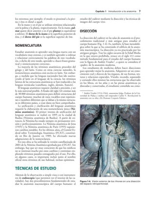 IGURA   Visión anterior de los riñones en una disección
del espacio retroperitoneal.
los extremos; por ejemplo: el muslo es proximal a la pier-
na y ésta es distal a aquél.
En la mano y en el pie se utilizan términos relacionados
con la palma y la planta, respectivamente. En la mano, pal-
mar quiere decir anterior y en el pie plantar es equivalente
a inferior. El dorso de la mano es la superficie posterior de
ésta, y el dorso del pie es la superficie superior de éste.
NOMENCLATURA
Estudiar anatomía es aprender una lengua nueva con un
vocabulario muy extenso, y es también aprender a ordenar
y relacionar correctamente las palabras de este vocabula-
rio, o dicho de otro modo, aprender a «hacer frases grama-
tical y sintácticamente correctas».
La mayoría de los términos anatómicos proceden del
griego y del latín. Como en otras ciencias naturales, la
nomenclatura anatómica está escrita en latín. Sin embar-
go, a medida que las lenguas nacionales han ido sustitu-
yendo al latín en el lenguaje de la ciencia, los términos
latinos de las estructuras anatómicas se han traducido a las
lenguas vernáculas (castellano, inglés, alemán, francés).
El lenguaje anatómico requiere claridad y precisión, y ser
lo más universal posible. A finales del siglo XIX existían más
de 30 000 términos anatómicos para definir estructuras del
cuerpo humano; muchos de estos vocablos eran repeticio-
nes o nombres diferentes que se daban a la misma estructu-
ra en diferentes países, o eran datos no bien comprobados.
La unificación y clarificación del lenguaje anatómico
requirió la elaboración de una nomenclatura única (Nó-
mina anatómica). El primer intento de unificación del
lenguaje anatómico se realizó en 1895 en la ciudad de
Basilea (Nómina anatómica de Basilea). A partir de en-
tonces, la Nómina ha estado siempre en permanente revi-
sión y perfeccionamiento. La Nómina anatómica de Jena
(1935) y la Nómina anatómica de París (1955) supusie-
ron cambios notables. En los últimos años, el Comité Fe-
deral sobre Terminología Anatómica (FCAT), constitui-
do en Río de Janeiro en 1989, ha efectuado nuevas
adaptaciones de la nomenclatura.
En esta obra se ha utilizado la versión castellanizada de
2001 de la Nómina Anatómica aprobada por el FCAT. Sin
embargo, hay que ser muy consciente de que los médicos
no se interesan mucho por estos cambios y continúan em-
pleando términos pasados consagrados por el uso. Por ello,
en algunos casos, es importante incluir junto al nombre
oficial otros términos de uso habitual, incluso epónimos.
TÉCNICAS DE ESTUDIO
Además de la observación a simple vista o con instrumen-
tos de endoscopia (que permiten ver el interior de las ca-
vidades), hay dos procedimientos fundamentales de estu-
diar la anatomía macroscópica del cuerpo humano: el
estudio del cadáver mediante la disección y las técnicas de
imagen del cuerpo vivo.
DISECCIÓN
La disección del cadáver en las salas de anatomía es el pro-
cedimiento tradicional y más antiguo para estudiar el
cuerpo humano (Fig. 1-4). Es, también, la base metodoló-
gica sobre la que se ha construido el edificio de la anato-
mía macroscópica. La disección ya era practicada por los
antiguos griegos. Tras los siglos oscuros de la Edad Media
en la que estuvo prohibida, renace en el siglo XVI como
método fundamental para el estudio del cuerpo humano
con la figura de Andrés Vesalio2
, a quien se considera el
«padre» de la anatomía moderna.
Los estudiantes de medicina deben hacer disecciones
para aprender mejor la anatomía. Adquieren así un cono-
cimiento real y directo de los órganos, de sus formas, tex-
turas y relaciones espaciales. Viendo, tocando, separando
y cortando ellos mismos las estructuras que ha observado
en los libros, en los atlas y en las piezas anatómicas ya
disecadas y conservadas, el estudiante consolida sus cono-
2
Andrés Vesalio (1514-1564), anatomista belga. Profesor de la Uni-
versidad de Pádua y médico del emperador Carlos V. Revolucionó la
anatomía con su obra «De Humani Corporis Fabrica».
#APÓTULO  Introducción a la anatomía 
 