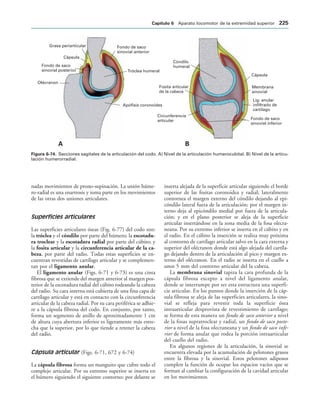 Fondo de saco
sinovial anterior
Tróclea humeral
Apófisis coronoides
Olécranon
Fondo de saco
sinovial posterior
Cápsula
Grasa periarticular
Cápsula
Membrana
sinovial
Lig. anular
infiltrado de
cartílago
Fondo de saco
sinovial inferior
Circunferencia
articular
Fosita articular
de la cabeza
Cóndilo
humeral
! 
IGURA   Secciones sagitales de la articulación del codo. A) Nivel de la articulación humerocubital. B) Nivel de la articu-
lación humerorradial.
nadas movimientos de prono-supinación. La unión húme-
ro-radial es una enartrosis y toma parte en los movimientos
de las otras dos uniones articulares.
Superficies articulares
Las superficies articulares óseas (Fig. 6-77) del codo son:
la tróclea y el cóndilo por parte del húmero; la escotadu-
ra troclear y la escotadura radial por parte del cúbito; y
la fosita articular y la circunferencia articular de la ca-
beza, por parte del radio. Todas estas superficies se en-
cuentran revestidas de cartílago articular y se complemen-
tan por el ligamento anular.
El ligamento anular (Figs. 6-71 y 6-73) es una cinta
fibrosa que se extiende del margen anterior al margen pos-
terior de la escotadura radial del cúbito rodeando la cabeza
del radio. Su cara interna está cubierta de una fina capa de
cartílago articular y está en contacto con la circunferencia
articular de la cabeza radial. Por su cara periférica se adhie-
re a la cápsula fibrosa del codo. En conjunto, por tanto,
forma un segmento de anillo de aproximadamente 1 cm
de altura cuya abertura inferior es ligeramente más estre-
cha que la superior, por lo que tiende a retener la cabeza
del radio.
Cápsula articular (Figs. 6-71, 672 y 6-74)
La cápsula fibrosa forma un manguito que cubre todo el
complejo articular. Por su extremo superior se inserta en
el húmero siguiendo el siguiente contorno: por delante se
inserta alejada de la superficie articular siguiendo el borde
superior de las fositas coronoidea y radial; lateralmente
contornea el margen externo del cóndilo dejando al epi-
cóndilo lateral fuera de la articulación; por el margen in-
terno deja al epicóndilo medial por fuera de la articula-
ción; y en el plano posterior se aleja de la superficie
articular insertándose en la zona media de la fosa olecra-
neana. Por su extremo inferior se inserta en el cúbito y en
el radio. En el cúbito la inserción se realiza muy próxima
al contorno de cartílago articular salvo en la cara externa y
superior del olécranon donde está algo alejada del cartíla-
go dejando dentro de la articulación al pico y margen ex-
terno del olécranon. En el radio se inserta en el cuello a
unos 5 mm del contorno articular del la cabeza.
La membrana sinovial tapiza la cara profunda de la
cápsula fibrosa excepto a nivel del ligamento anular,
donde se interrumpe por ser esta estructura una superfi-
cie articular. En los puntos donde la inserción de la cáp-
sula fibrosa se aleja de las superficies articulares, la sino-
vial se refleja para revestir toda la superficie ósea
intraarticular desprovista de revestimiento de cartílago;
se forma de esta manera un fondo de saco anterior a nivel
de la fosas supratroclear y radial, un fondo de saco poste-
rior a nivel de la fosa olecraneana y un fondo de saco infe-
rior de forma anular que rodea la porción intraarticular
del cuello del radio.
En algunos regiones de la articulación, la sinovial se
encuentra elevada por la acumulación de pelotones grasos
entre la fibrosa y la sinovial. Estos pelotones adiposos
cumplen la función de ocupar los espacios vacíos que se
forman al cambiar la configuración de la cavidad articular
en los movimientos.
#APÓTULO  Aparato locomotor de la extremidad superior 
 