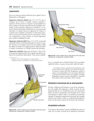 Epicóndilo
medial
Haz posterior
Banda transversa
Olécranon
Haz anterior
IGURA   Visión medial de la articulación del codo para
representar el ligamento colateral cubital.
Epicóndilo lateral
Haz anterior
Lig. anular
Haz medio
Haz posterior
Olécranon
IGURA   Visión lateral de la articulación del codo para
representar el ligamento colateral radial.
Ligamentos
Son en su mayoría refuerzos fibrosos de la cápsula. Por su
disposición se distinguen:
Ligamento colateral cubital (Figs. 6-71 y 6-75): que se
compone de tres haces o bandas, anterior, posterior y
transversa. El haz anterior se originan en el epicóndilo me-
dial y termina en la parte anterointerna de la apófisis coro-
noides. El haz posterior (ligamento de Bardinet16
) se ex-
tiende desde el epicóndilo medial hasta la cara interna del
olécranon. La banda transversa (ligamento de Cooper) se
extiende entre la apófisis coronoides y el olécranon unien-
do los extremos de la banda anterior y la posterior. De los
tres componentes. el haz anterior es el más importante
para conferir estabilidad al codo.
Ligamento colateral radial (Figs. 6-71 y 6-76): arranca del
epicóndilo lateral y desciende formando tres haces: el ante-
rior termina en el margen anterior de la escotadura radial
del cúbito; el medio en el margen posterior del la escotadu-
ra radial y el posterior en el borde externo del olécranon.
Ligamento cuadrado (ligamento de Dénucé17
; Fig. 6-73):
es un potente engrosamiento de la cápsula situado por de-
bajo de la articulación radiocubital. Tiene forma cuadrilá-
tera y se extiende entre el borde inferior de la escotadura
radial del cúbito y la parte interna del cuello del radio.
En el plano anterior y posterior de la articulación se han
descrito refuerzos de la cápsula con el nombre de ligamen-
tos anterior y posterior del codo. El ligamento anterior se
origina con la cápsula fibrosa en la cara anterior del húmero
y converge hacia el borde externo de la apófisis coronoides.
El ligamento posterior está poco desarrollado y comprende
fibras oblicuas, fibras horizontales y fibras verticales.
Dinámica funcional de la articulación
El codo, a diferencia del hombro, es una de las articulacio-
nes más estables del organismo y desde el punto de vista
funcional debe de ser considerada como una articulación
doble. El primer componente está formado por la unión
entre húmero y cúbito y radio, y se estudiará en el presente
capítulo. El segundo componente forma parte del complejo
articular entre cúbito y radio y se analizará funcionalmente
junto con las demás uniones de los huesos del antebrazo.
Estabilidad articular
Tres factores determinan la gran estabilidad que posee el
codo. Por un lado, la forma de la superficies articulares,
16
Bardinet (1814-1874) anatomista y cirujano francés.
17
Ligamento descrito por Dénucé en su tesis doctoral (1854).
 3ECCIØN ))) Aparato locomotor
 