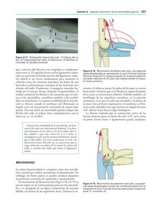 IGURA   Radiografía lateral del codo. 1) Cabeza del ra-
dio. 2) Tuberosidad del radio. 3) Olécranon. 4) Apófisis co-
ronoides. 5) Cóndilo humeral.
IGURA   Movimiento de flexión del codo. Las palancas
óseas desplazadas se representan en azul. Fuerzas motoras
flexoras: braquial (1), bíceps braquial (2), braquiorradial (3),
pronador redondo (4). El color rojo intenso señala el múscu-
lo motor primario.
IGURA   Movimiento de extensión del codo. Las palan-
cas óseas desplazadas (a partir de una flexión previa) se re-
presentan en azul. Fuerzas motoras extensoras: tríceps bra-
quial (1), ancóneo (2).
que, como ha sido descrito, son irregulares y complemen-
tarias entre sí. El segundo factor son los ligamentos colate-
rales; en particular la banda anterior del ligamento colate-
ral cubital es un factor fundamental para mantener la
cohesión entre los extremos articulares (la lesión de este
fascículo es prácticamente constante en las luxaciones reci-
divantes del codo). Finalmente, el manguito muscular for-
mado por el tríceps, bíceps, braquial, braquiorradial y el
tendón común de los flexores y de extensores que se inser-
tan en los epicóndilos, contribuye también a dar estabili-
dad a la articulación. La máxima estabilidad de la articula-
ción se obtiene cuando el antebrazo está flexionado en
ángulo recto en una posición intermedia de prono-supi-
nación. Por esta razón, la extremidad superior adopta una
flexión del codo al realizar finas manipulaciones con la
mano (p. ej., al escribir).
A pesar de la estabilidad de la articulación, las luxa-
ciones del codo son relativamente habitual. Una luxa-
ción frecuente en los niños es la de la cabeza del ra-
dio, debido a que ésta, hasta los 4 ó 5 años, es
cartilaginosa y de tamaño proporcionalmente menor
que la del adulto. En estas condiciones, al tirar con
fuerza de la mano del niño (p. ej., para evitar que se
caiga al llevarle un adulto de la mano) la cabeza del
radio es extraída del anillo que forma el ligamento
anular.
Movimientos
La unión humerocubital se comporta como una articula-
ción uniaxial que realiza movimientos de flexoextensión. Sin
embargo, de forma pasiva se pueden producir pequeños
movimientos accesorios de separación y aproximación.
El movimiento de flexoextensión (Figs. 6-78 y 6-79) se
ejecuta según un eje transversal que pasa por los epicóndi-
los y se acompaña de un ligero componente de rotación
debido a la forma de las superficies óseas. Durante la ex-
tensión, el cúbito se prona (la palma de la mano se orienta
hacia atrás), mientras que en la flexión se supina (la palma
de la mano se orienta hacia delante). Debido también a la
morfología de las superficies articulares, en la posición
anatómica, en la que el codo está extendido y la palma de
la mano mira al frente (supinación), el antebrazo y el bra-
zo no están alineados sino que forman un ángulo de unos
163° abierto hacia fuera (valgo fisiológico).
La flexión realizada por la contracción activa de las
fuerzas motoras posee un límite de unos 145°, pero como
no posee frenos óseos o ligamentosos puede ampliarse,
#APÓTULO  Aparato locomotor de la extremidad superior 
 
