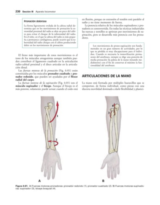 ! 
IGURA   A) Fuerzas motoras pronadoras: pronador redondo (1), pronador cuadrado (2). B) Fuerzas motoras supinado-
ras: supinador (3), bíceps braquial (4).
Pronación dolorosa
La forma ligeramente ovalada de la cabeza radial de-
termina que en los movimientos de pronación la ex-
tremidad proximal del radio se aleje un poco del cúbi-
to para evitar el choque de la tuberosidad del radio.
En el niño, en el que la cabeza del radio es más peque-
ña y permanece cartilaginosa, puede ocurrir que la tu-
berosidad del radio choque con el cúbito produciendo
dolor en los movimientos de pronación.
El freno más importante de estos movimientos es el
tono de los músculos antagonistas aunque también pue-
den contribuir el ligamento cuadrado en la articulación
radio-cubital proximal y el disco articular en la articula-
ción distal.
Las fuerzas motoras de la pronación (Fig. 6-81) están
constituidas por los músculos pronador cuadrado y pro-
nador redondo, que pueden ser ayudados por el flexor
radial del carpo.
La fuerzas motoras de la supinación (Fig. 6-81) son el
músculo supinador y el bíceps. Aunque el bíceps es el
más potente, solamente puede actuar cuando el codo está
en flexión, porque en extensión el tendón está paralelo al
radio y no tiene momento de fuerza.
La potencia relativa de los músculos supinadores y pro-
nadores es controvertida. En todas las técnicas industriales
las tuercas y tornillos se aprietan por movimientos de su-
pinación, pero se desarrolla más potencia con los prona-
dores.
Los movimientos de prono-supinación son funda-
mentales en un gran número de actividades, por lo
que su pérdida es muy discapacitante para el indivi-
duo. Cuando es necesaria la inmovilización perma-
nente del antebrazo, siempre se elige una posición de
media pronación (la palma de la mano mirando me-
dialmente) con el fin de conservar al máximo la fun-
cionalidad del antebrazo.
ARTICULACIONES DE LA MANO
La mano está formada por múltiples huesecillos que se
comportan, de forma individual, como piezas con una
discreta movilidad destinada a darle flexibilidad y plastici-
 3ECCIØN ))) Aparato locomotor
 