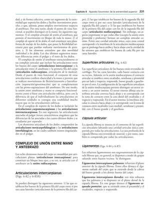 dad, y de forma colectiva, como un segmento de la extre-
midad que soporta los dedos y facilita movimientos pren-
siles, y que, además, posee amplios movimientos respecto
al antebrazo. Por esta razón, desde el punto de vista fun-
cional, se pueden distinguir en la mano, los siguientes seg-
mentos: 1) el complejo articular de unión al antebrazo, que
permite el movimiento en bloque de toda la mano; 2) el
complejo de soporte de los dedos, el cual constituye una plata-
forma de anclaje de los dedos, que posee la flexibilidad ne-
cesaria para que puedan realizarse movimientos de pren-
sión; y, 3) los elementos articulares que dan movilidad
individual a los dedos. Los dos últimos segmentos mues-
tran diferencias entre el pulgar y el resto de los dedos.
El complejo de unión al antebrazo estructuralmente es
un complejo articular que incluye las articulaciones entre
los huesos del carpo (articulaciones intercarpianas) y la
articulación entre el antebrazo y la primera fila del carpo
(articulación radiocarpiana, articulación de la muñeca).
Desde el punto de vista funcional, el conjunto de estas
articulaciones confiere elasticidad a la mano y permite que
se realicen movimientos de flexión/extensión y lateraliza-
ción (separación/aproximación) que se complementan
con las prono-supinaciones del antebrazo. De este modo,
la unión entre antebrazo y mano se comporta funcional-
mente como si fuese una articulación esférica, pero con la
diferencia de que al individualizarse las articulaciones en
diferentes unidades se consigue una estabilidad mucho
mayor que en las articulaciones esféricas.
En el complejo de soporte de los dedos se incluirán las
articulaciones carpometacarpianas y las articulaciones
intermetacarpianas. En este segmento, las articulaciones
asociadas al pulgar tienen características singulares que las
diferencian de las asociadas a los cuatro últimos dedos y se
estudiarán por separado.
Los elementos articulares de los dedos comprenden las
articulaciones metacarpofalángicas y las articulaciones
interfalángicas, en las cuales también existen singularida-
des en el pulgar.
COMPLEJO DE UNIÓN ENTRE MANO
Y ANTEBRAZO
Los ocho elementos óseos del carpo se ensamblan por arti-
culaciones planas (articulaciones intercarpianas) para
constituir un bloque óseo que, a su vez, se articula con el
antebrazo en la unión radiocarpiana.
Articulaciones intercarpianas
(Figs. 6-82 y 6-83A)
Se pueden distinguir las siguientes uniones: 1) las que es-
tablecen los huesos de la primera fila del carpo entre sí por
sus caras laterales (articulaciones de la primera fila del car-
po); 2) las que establecen los huesos de la segunda fila del
carpo entre sí por sus caras laterales (articulaciones de la
segunda fila del carpo); y 3) las que establecen los huesos
de la primera fila del carpo con los de la segunda fila del
carpo (articulación mediocarpiana). Sin embargo, un as-
pecto importante es que todas ellas (excepto la unión entre
piramidal y pisiforme) forman un complejo articular co-
mún. Existe una cavidad articular única, cuya zona central
corresponde a la interlínea de la articulación mediocarpiana
que se prolonga hacia arriba y hacia abajo con la cavidad de
las uniones que establecen los huesos de cada fila por sus
caras laterales.
Superficies articulares (Fig. 6-82)
Las superficies articulares de los huesos están revestidas de
cartílago. Por las caras laterales, cada hueso contacta con
su vecino. Además, en la unión mediocarpiana el contacto
articular se establece entre escafoides, semilunar y piramidal
por un lado y trapecio, trapezoide, hueso grande y gancho-
so por el otro. La configuración de las superficies articulares
de la unión mediocarpiana permite distinguir un sector ex-
terno y un sector interno. El sector externo dibuja una in-
terlínea articular convexa hacia abajo y se corresponde con
la zona de contacto entre la cara distal del escafoides y el
trapecio y trapezoide. En el sector interno, la interlínea arti-
cular es cóncava hacia abajo y se corresponde con la zona de
contacto entre escafoides (cara medial), semilunar y pirami-
dal, con el hueso grande y el ganchoso.
Cápsula articular
La cápsula fibrosa se inserta en el contorno de las superfi-
cies articulares labrando una cavidad articular única com-
partida por todas las articulaciones. La cara profunda de la
cápsula fibrosa está revestida de sinovial, y por tanto, tam-
bién es compartida por todas las articulaciones.
Ligamentos (Figs. 6-84 y 6-85)
Los refuerzos ligamentosos son engrosamientos de la cáp-
sula fibrosa que, en general, se disponen a modo de grapas
saltando entre huesos vecinos. Se distinguen:
Ligamentos intercarpianos palmares: refuerzan el plano
anterior de la cápsula fibrosa. Entre ellos destaca el liga-
mento radiado del carpo, que se extiende desde la cabeza
del hueso grande a los demás huesos del carpo.
Ligamentos intercarpianos dorsales: son más robustos
que los palmares y se disponen en el plano dorsal de la
cápsula fibrosa. En este grupo destaca el ligamento ar-
queado posterior, que se extiende entre el piramidal y el
escafoides, trapecio y trapezoide.
#APÓTULO  Aparato locomotor de la extremidad superior 
 