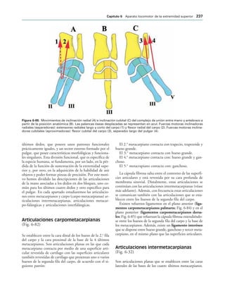 IGURA   Movimientos de inclinación radial (A) e inclinación cubital (C) del complejo de unión entre mano y antebrazo a
partir de la posición anatómica (B). Las palancas óseas desplazadas se representan en azul. Fuerzas motoras inclinadoras
radiales (separadoras): extensores radiales largo y corto del carpo (1) y flexor radial del carpo (2). Fuerzas motoras inclina-
doras cubitales (aproximadoras): flexor cubital del carpo (3), separador largo del pulgar (4).
últimos dedos, que poseen unos patrones funcionales
prácticamente iguales, y un sector externo formado por el
pulgar, que posee características morfológicas y funciona-
les singulares. Esta división funcional, que es específica de
la especie humana, se fundamenta, por un lado, en la pér-
dida de la función de sustentación de la extremidad supe-
rior y, por otro, en la adquisición de la habilidad de asir
objetos y poder formar pinzas de precisión. Por este moti-
vo hemos dividido las descripciones de las articulaciones
de la mano asociadas a los dedos en dos bloques, uno co-
mún para los últimos cuatro dedos y otro específico para
el pulgar. En cada apartado estudiaremos las articulacio-
nes entre metacarpianos y carpo (carpo-metacarpianas) ar-
ticulaciones intermetacarpianas, articulaciones metacar-
po-falángicas y articulaciones interfalángicas.
Articulaciones carpometacarpianas
(Fig. 6-82)
Se establecen entre la cara distal de los hueso de la 2.a
fila
del carpo y la cara proximal de la base de la 4 últimos
metacarpianos. Son articulaciones planas en las que cada
metacarpiano contacta por medio de una superficie arti-
cular revestida de cartílago con las superficies articulares
también revestidas de cartílago que presentan uno o varios
huesos de la segunda fila del carpo, de acuerdo con el si-
guiente patrón:
El 2.o
metacarpiano contacta con trapecio, trapezoide y
hueso grande.
El 3.o
metacarpiano contacta con hueso grande.
El 4.o
metacarpiano contacta con: hueso grande y gan-
choso.
El 5.o
metacrapiano contacta con: ganchoso.
La cápsula fibrosa salta entre el contorno de las superfi-
cies articulares y está revestida por su cara profunda de
membrana sinovial. Distalmente, estas articulaciones se
continúan con las articulaciones intermetacarpianas (véase
más adelante). Además, con frecuencia estas articulaciones
se comunican también con las articulaciones que se esta-
blecen entre los huesos de la segunda fila del carpo.
Existen refuerzos ligamentos en el plano anterior (liga-
mentos carpometacarpianos palmares; Fig. 6-84) y en el
plano posterior (ligamentos carpometacarpianos dorsa-
les; Fig. 6-85) que refuerzan la cápsula fibrosa extendiéndo-
se entre los huesos de la segunda fila del carpo y la base de
los metacarpianos. Además, existe un ligamento interóseo
que se dispone entre hueso grande, ganchoso y tercer meta-
carpiano, en el mismo plano que las superficies articulares.
Articulaciones intermetacarpianas
(Fig. 6-32)
Son articulaciones planas que se establecen entre las caras
laterales de las bases de los cuatro últimos metacarpianos.
#APÓTULO  Aparato locomotor de la extremidad superior 
 