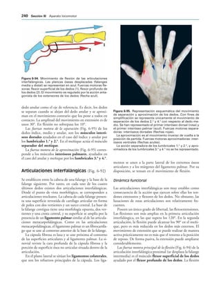 IGURA   Movimiento de flexión de las articulaciones
interfalángicas. Las plancas óseas desplazadas (falanges
media y distal) se representan en azul. Fuerzas motoras fle-
xoras: flexor superficial de los dedos (1), flexor profundo de
los dedos (2). El movimiento es regulado por la acción anta-
gonista de los extensores de los dedos (flecha azul).
IGURA   Representación esquemática del movimiento
de separación y aproximación de los dedos. Con fines de
simplificación se representa únicamente el movimiento de
separación de los dedos 2.o
y 4.o
con respecto al dedo me-
dio. Se han representado el primer interóseo dorsal (rosa) y
el primer interóseo palmar (azul). Fuerzas motoras separa-
doras: interóseos dorsales (flechas rojas).
La aproximación es el movimiento inverso de vuelta a la
posición de partida. Fuerzas motoras aproximadoras: inter-
óseos ventrales (flechas azules).
La acción separadora de los lumbricales 1.o
y 2.o
, y apro-
ximadora de los lumbricales 3.o
y 4.o
no se ha representado.
dedo anular como el eje de referencia. Es decir, los dedos
se separan cuando se alejan del dedo anular y se aproxi-
man en el movimiento contrario que los pone a todos en
contacto. La amplitud del movimiento en extensión es de
unos 30°. En flexión no sobrepasa los 10°.
Las fuerzas motora de la separación (Fig. 6-95) de los
dedos índice, medio y anular, son los músculos interó-
seos dorsales ayudados en el caso del índice y anular por
los lumbricales 1.o
y 2.o
. En el meñique actúa el músculo
separador del meñique.
La fuerza motora de la aproximación (Fig. 6-95) corres-
ponde a los músculos interóseos palmares, ayudados en
el caso del anular y meñique por los lumbricales 3.o
y 4.o
.
Articulaciones interfalángicas (Fig. 6-92)
Se establecen entre la cabeza de una falange y la base de la
falange siguiente. Por tanto, en cada uno de los cuatro
últimos dedos existen dos articulaciones interfalángicas.
Desde el punto de vista morfológico, se corresponden a
articulaciones trocleares. La cabeza de cada falange presen-
ta una superficie revestida de cartílago articular en forma
de polea con dos vertientes y un surco central. La base de
la falange contigua tiene una morfología opuesta, dos ver-
tientes y una cresta central, y su superficie se amplía por la
presencia de un ligamento palmar similar al de las articula-
ciones metacarpofalángicas. Como en las articulaciones
metacarpofalángicas, el ligamento palmar es un fibrocartíla-
go que se une al contorno anterior de la base de la falange.
La cápsula fibrosa es laxa y se une próxima al contorno
de las superficies articulares y al ligamento palmar. La si-
novial reviste la cara profunda de la cápsula fibrosa y la
porción de superficie ósea no articular situada dentro de la
articulación.
En el plano lateral se sitúan los ligamentos colaterales,
que son los refuerzos principales de la cápsula. Los liga-
mentos se unen a la parte lateral de los extremos óseos
articulares y a los márgenes del ligamento palmar. Por su
disposición, se tensan en el movimiento de flexión.
Dinámica funcional
Las articulaciones interfalángicas son muy estables como
consecuencia de la acción que ejercen sobre ellas los ten-
dones extensores y flexores de los dedos. No obstante, las
luxaciones de estas articulaciones son relativamente fre-
cuentes.
Poseen un único grado de libertad, las flexoextensiones.
Las flexiones son más amplias en la primera articulación
interfalángica, en las que supera los 120°. En la segunda
articulación, la flexión puede alcanzar los 90° en el meñi-
que, pero es más reducida en los dedos más externos. El
movimiento de extensión que se puede realizar de manera
activa prácticamente no es más que el retorno a la posición
de reposo. De forma pasiva, la extensión puede ampliarse
considerablemente.
Las fuerza motora principal de la flexión (Fig. 6-94) de la
articulación interfalángica proximal (se desplaza la falange
intermedia) es el músculo flexor superficial de los dedos
ayudado por el flexor profundo de los dedos. La flexión
 3ECCIØN ))) Aparato locomotor
 